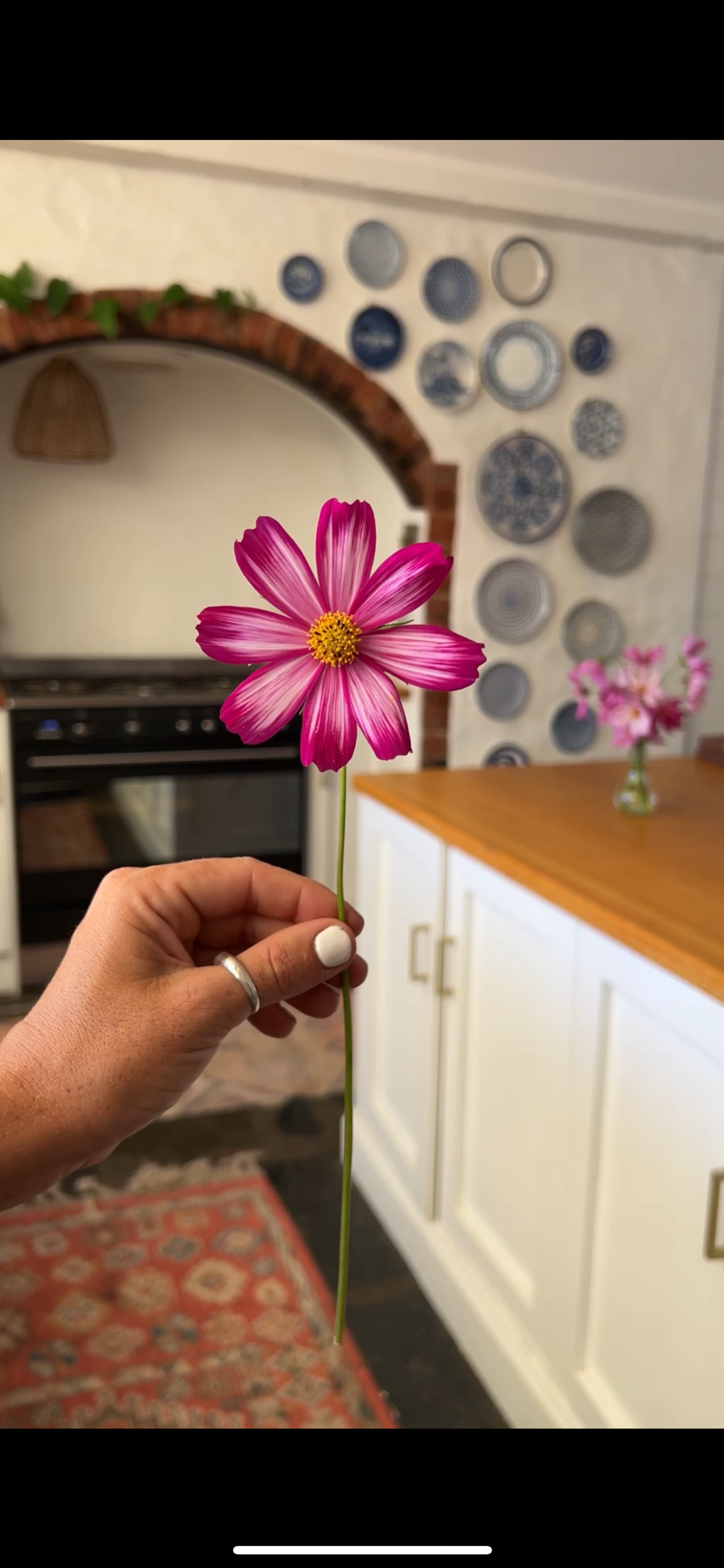 AF6A588D-3ED9-46A4-9FB0-C47E69FB76DD