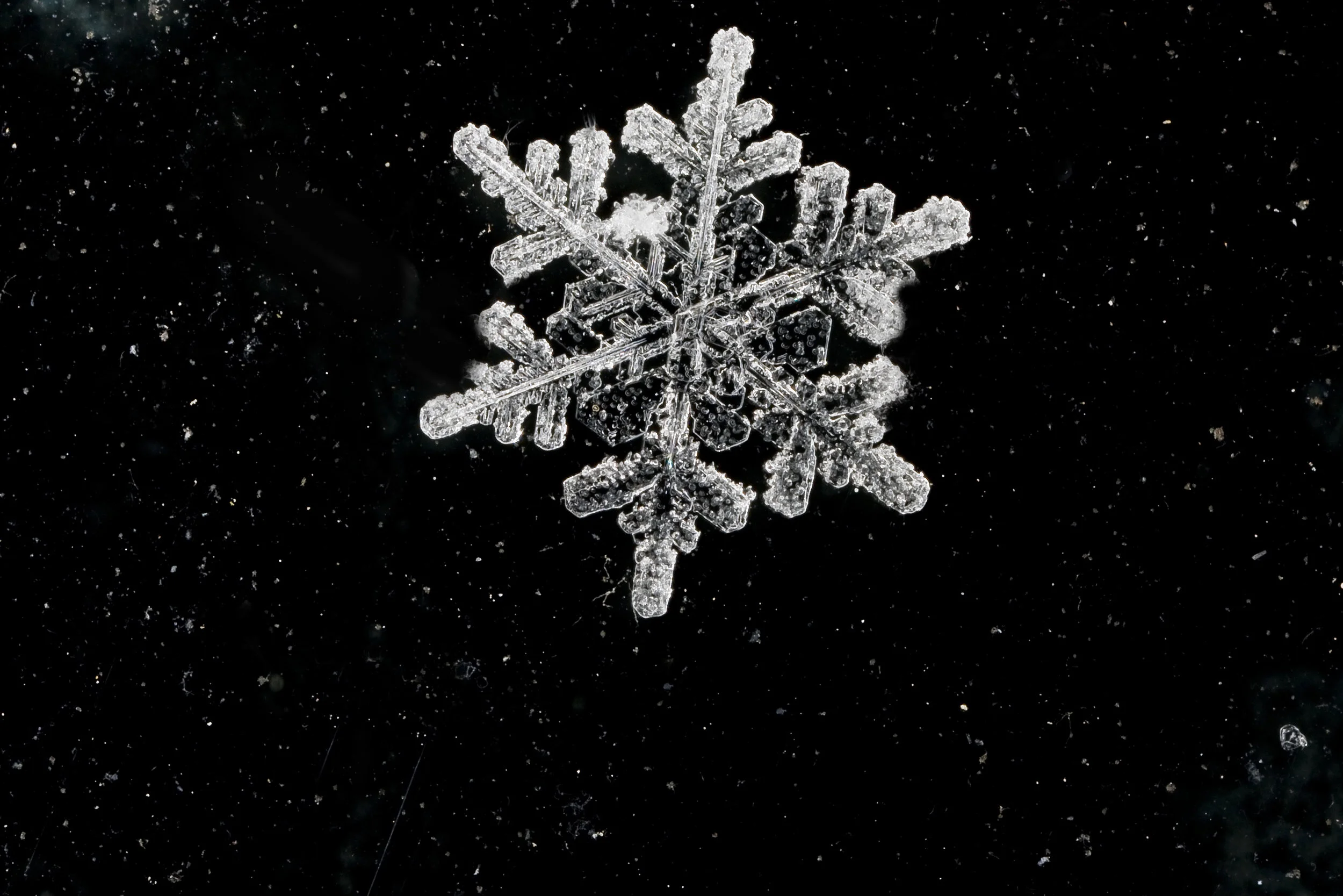 MacroSnowflake.jpg