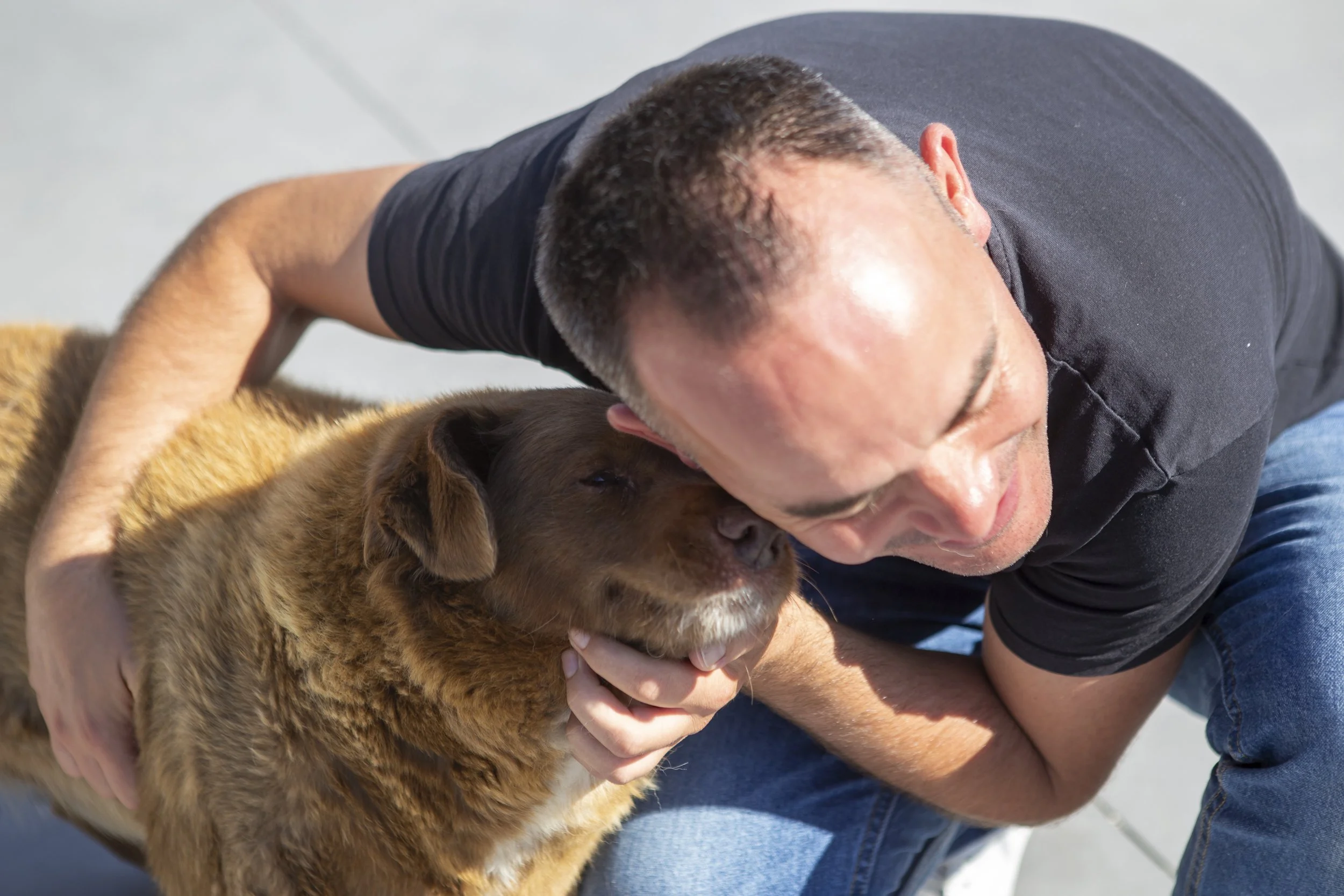   Bobi holds the Guinness World Record for the oldest living dog 