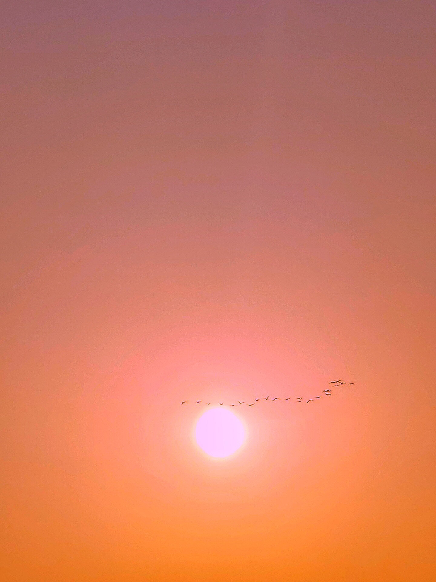Screenshot_20200519-214239-01.jpg