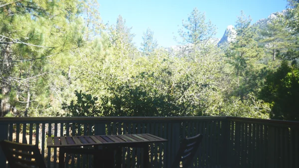 DSC00755.jpg