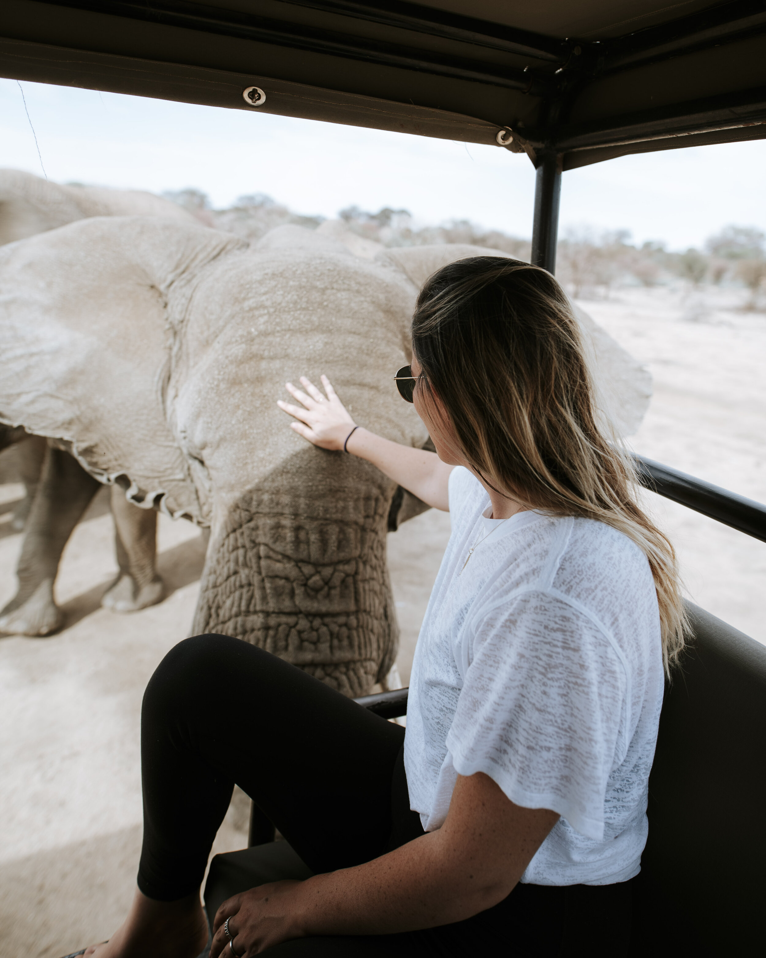 Omaruru game lodge - Elephants - Namibia Road Trip Itinerary