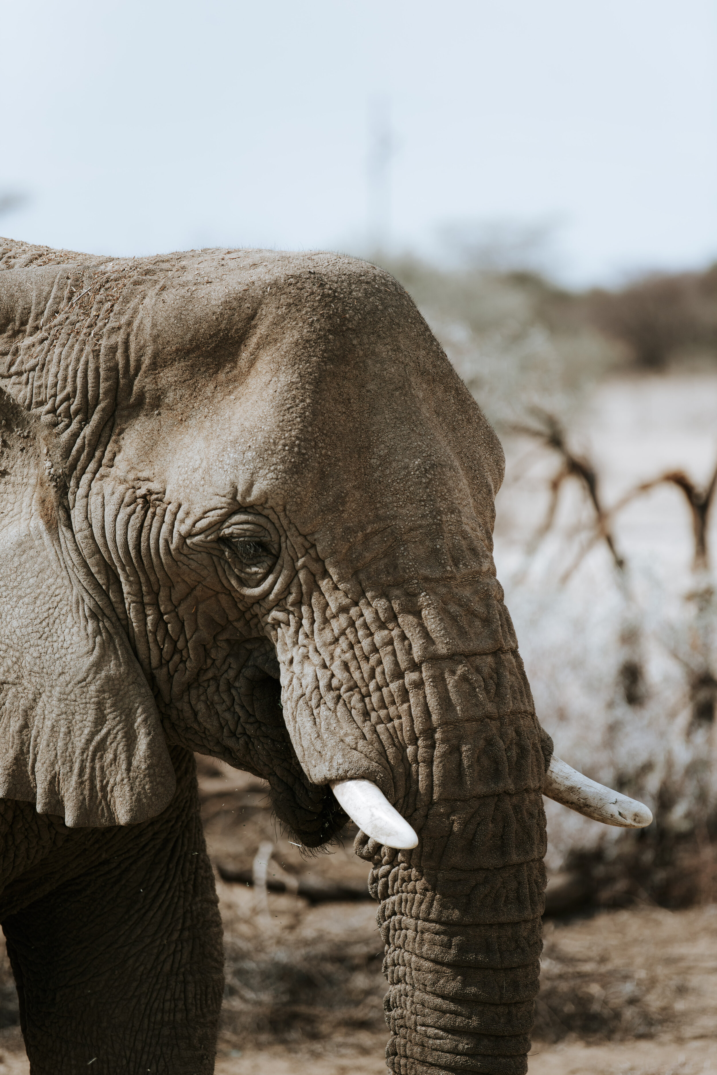 Omaruru game lodge - Elephants - Namibia Road Trip Itinerary