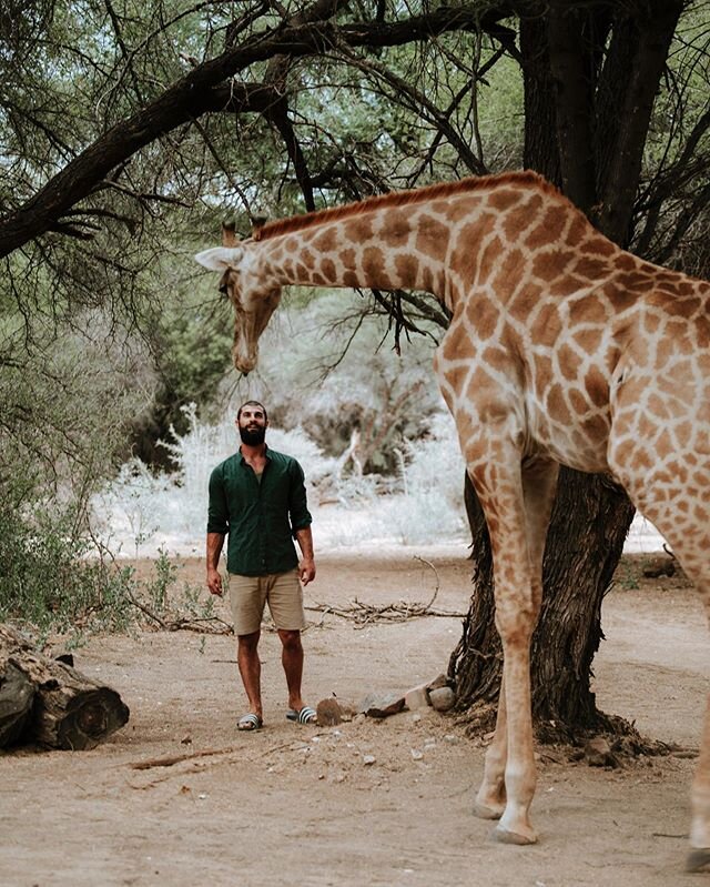 Mike was somewhat scared of this giraffe following him around and I didn&rsquo;t understand why until I looked up how giraffes fight (pause here and go look for a video on YouTube it&rsquo;s crazy!). They swing their necks at each other so hard it ma