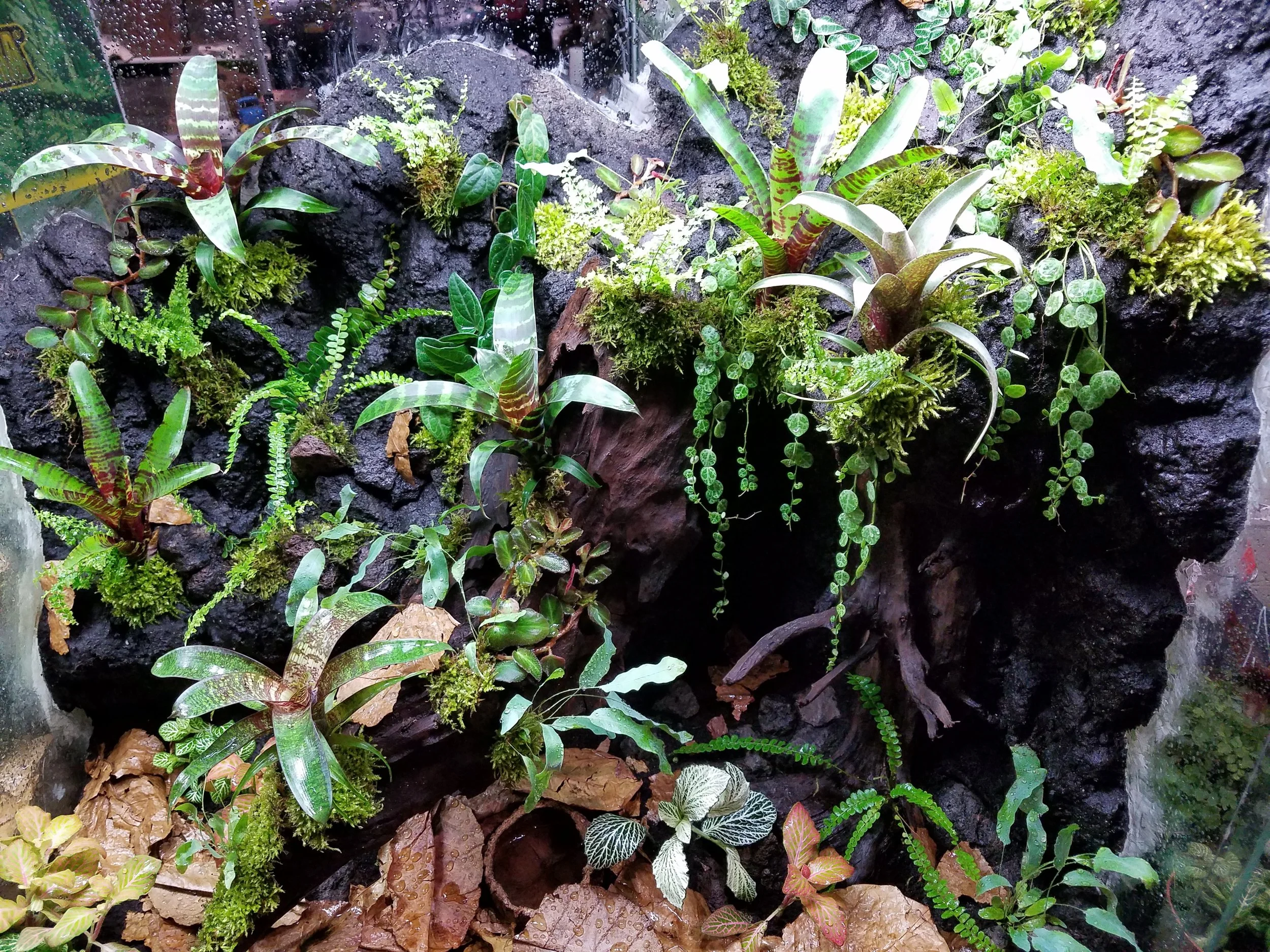 20180203_182050.jpg