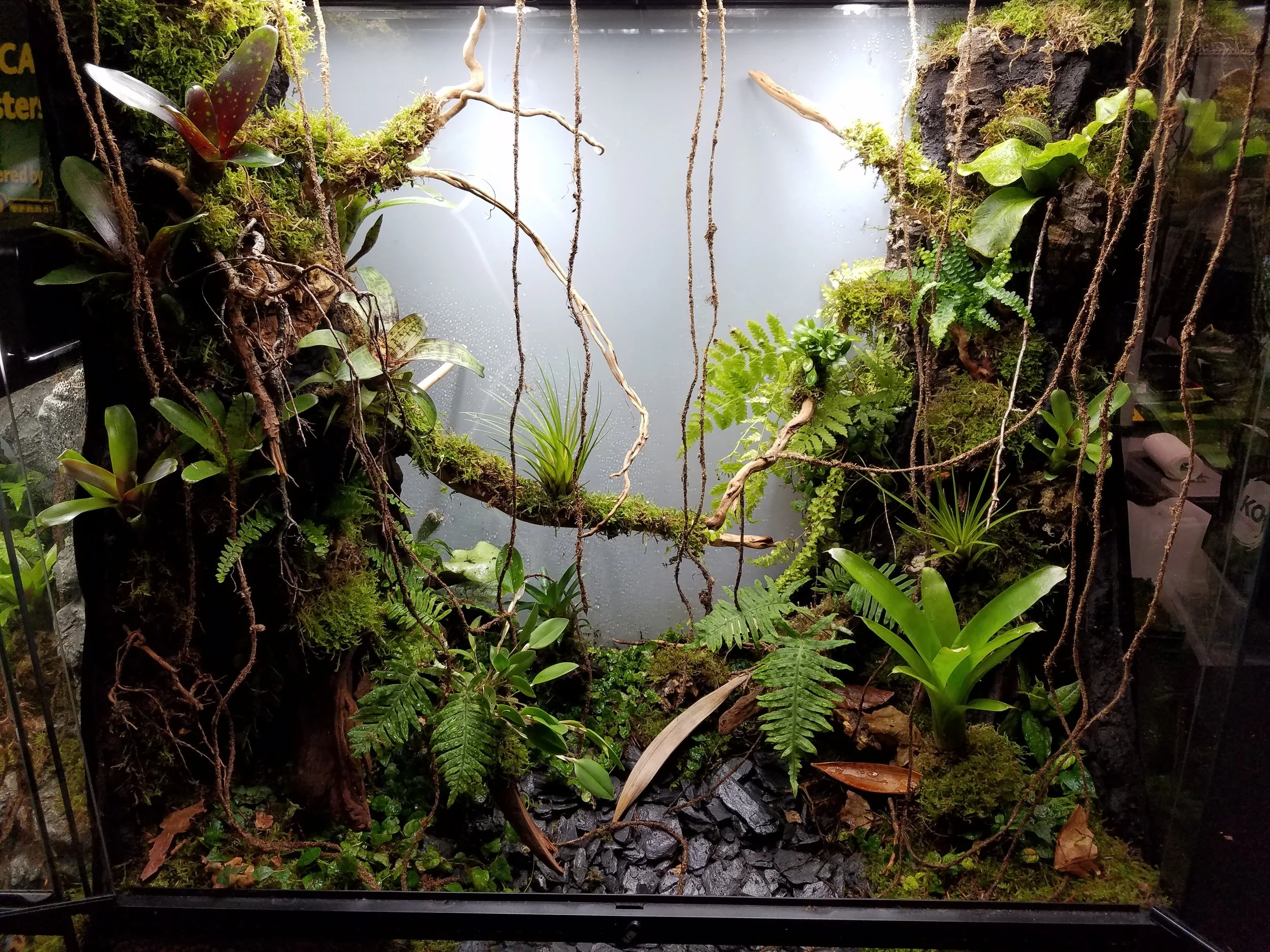 20180203_182013.jpg