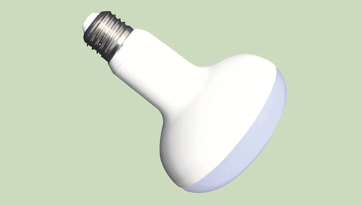 bulb.jpg