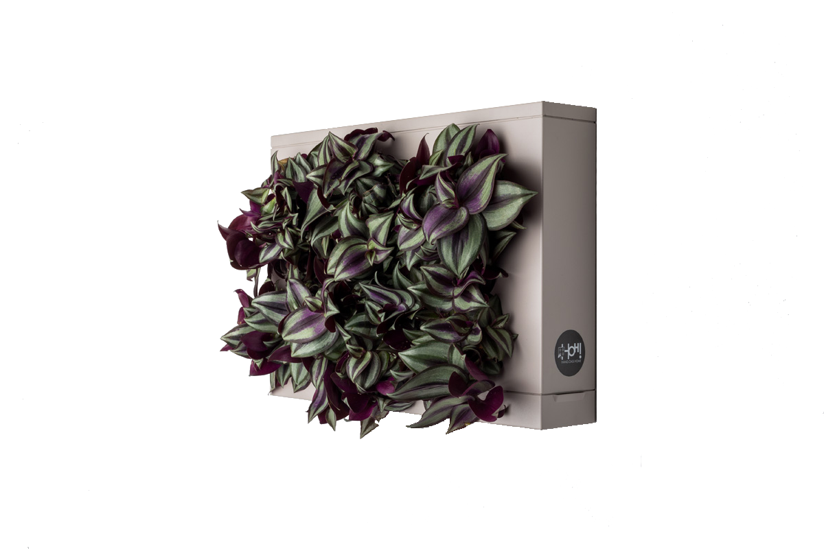 00008 GRY - HOH! Grigio - 5 web logo.png