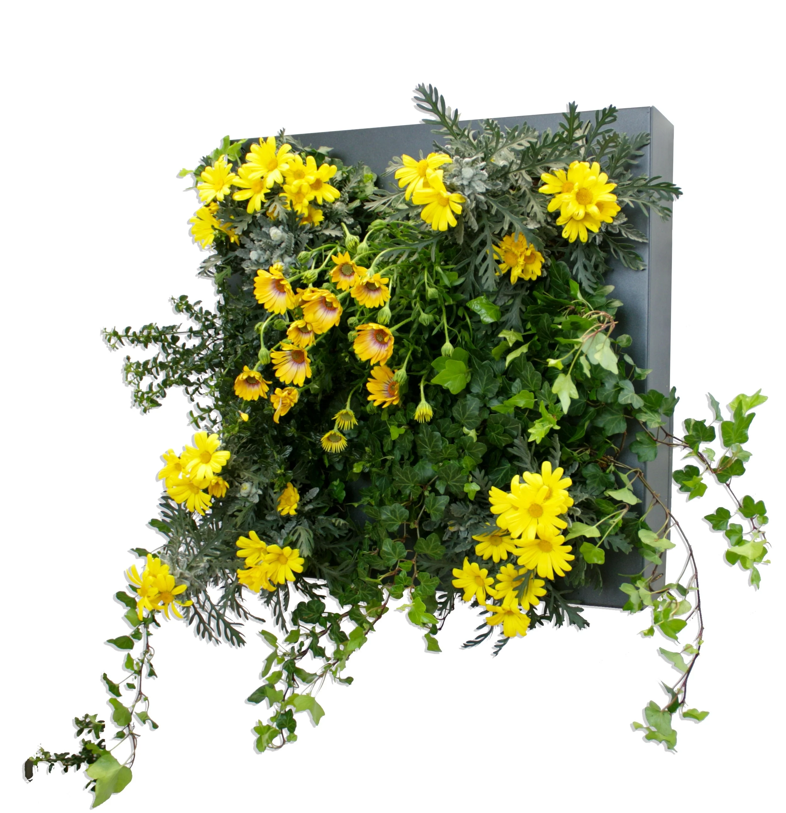 hub_giallo_00.jpg