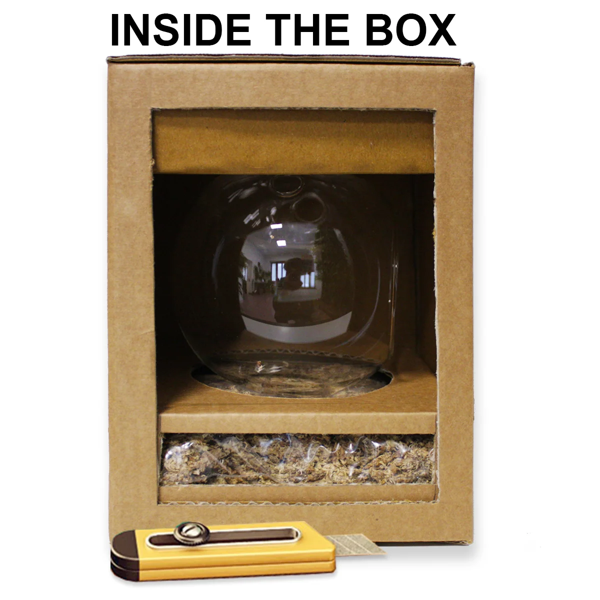 sez_front_box_01.jpg