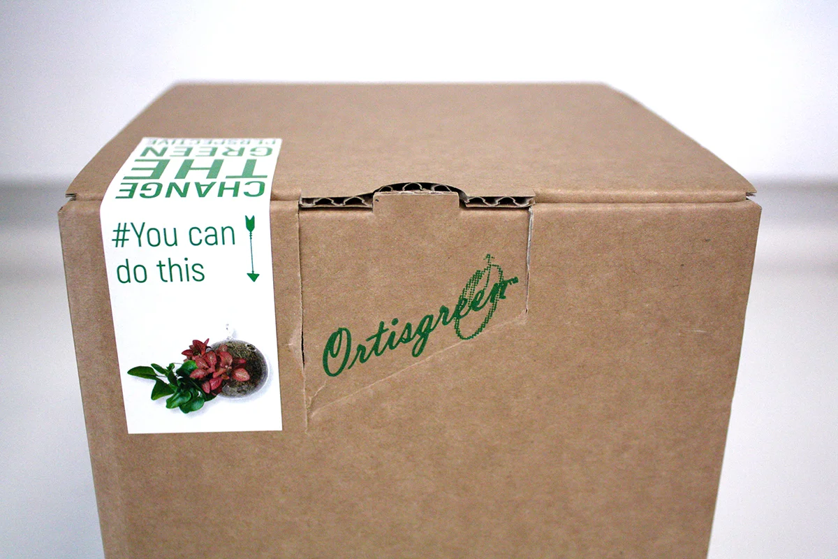 OIDS_BOX_dettaglio.jpg