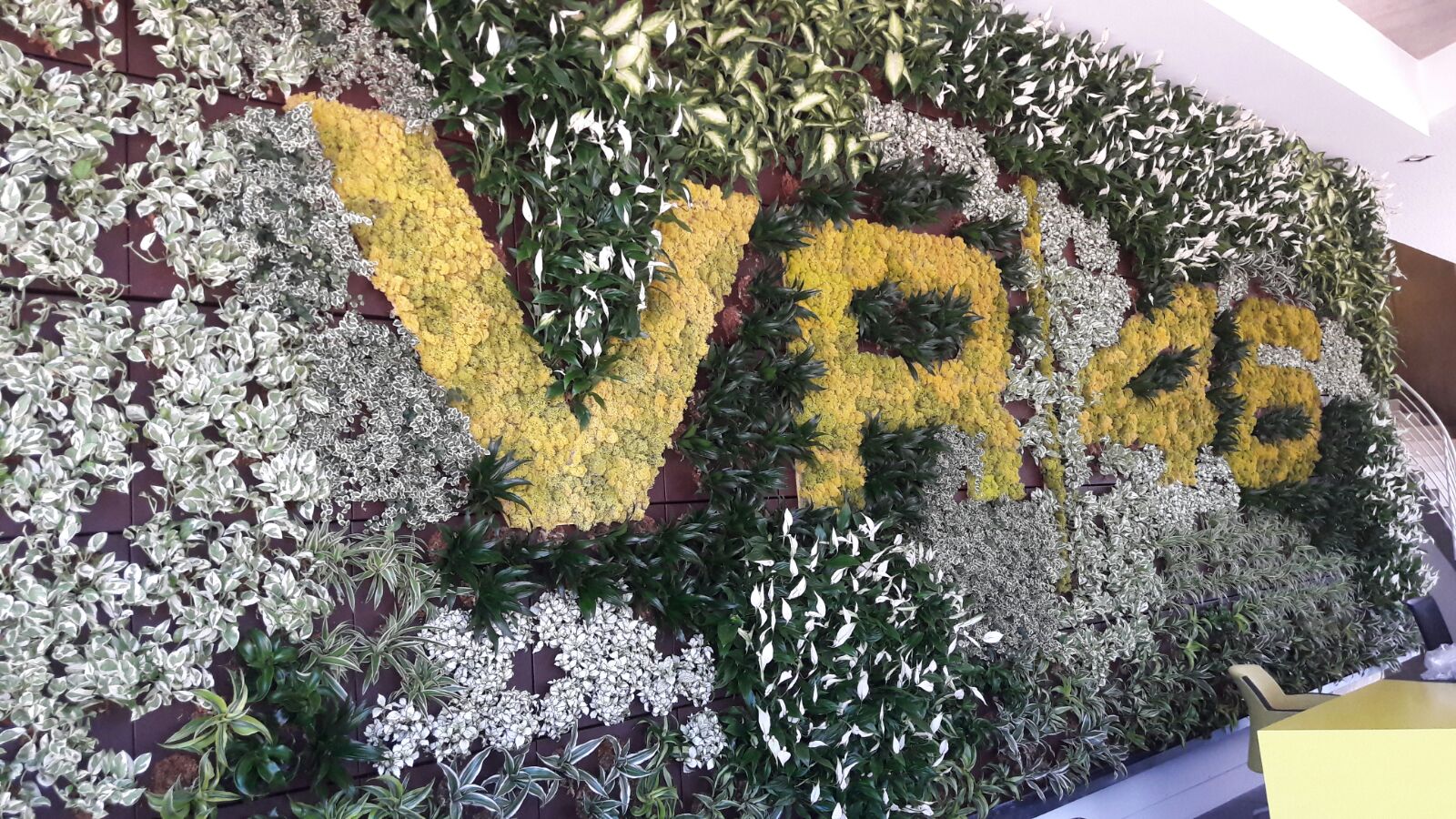 IMG-20170718-WA0005.jpg