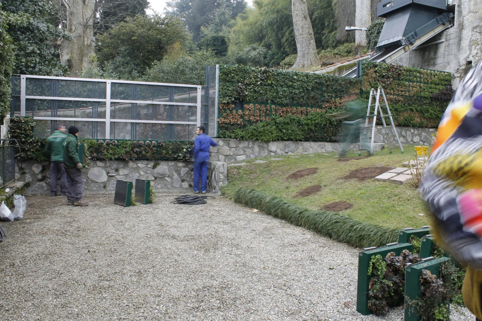 _MG_3403 (FILEminimizer).JPG