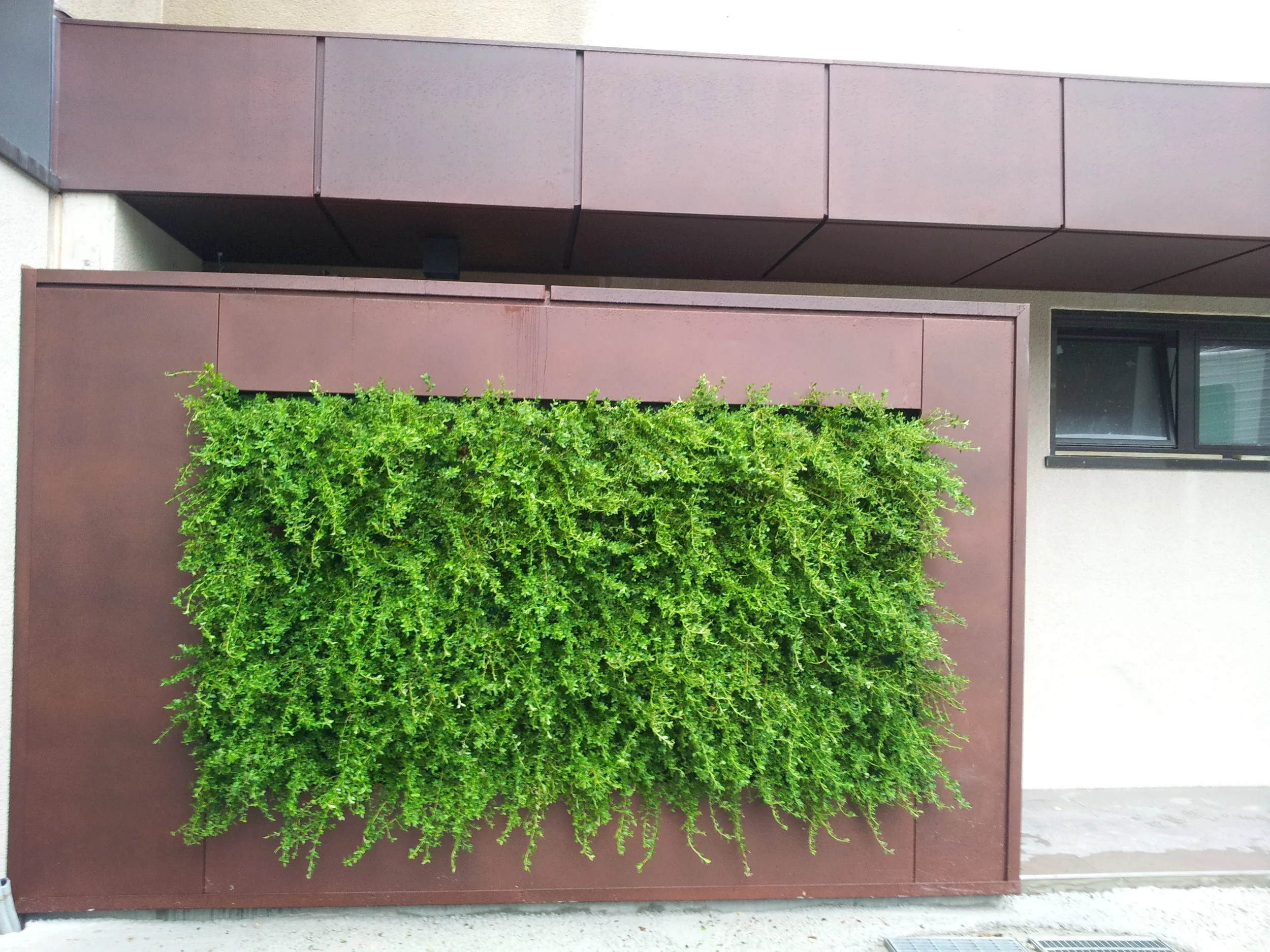 20150824_100510.jpg