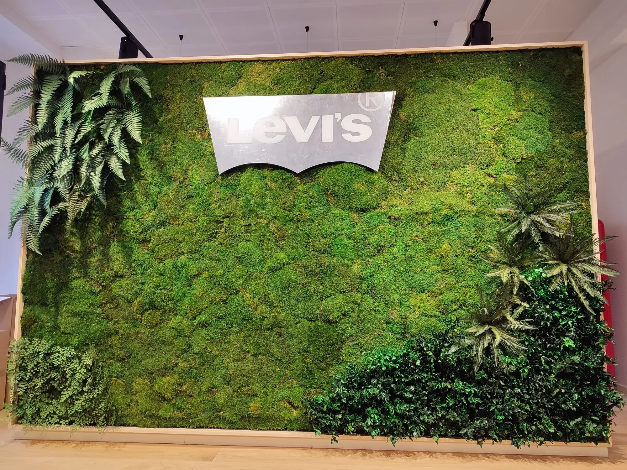 WhatsApp Image 2022-01-19 at 10.59.07.jpeg