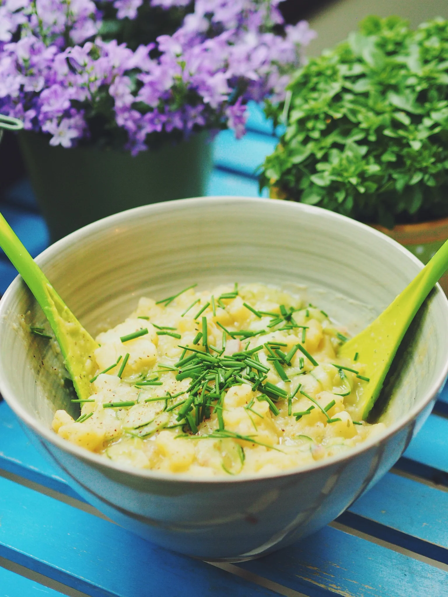 Bayerischer Kartoffel-Gurken-Salat (vegan)