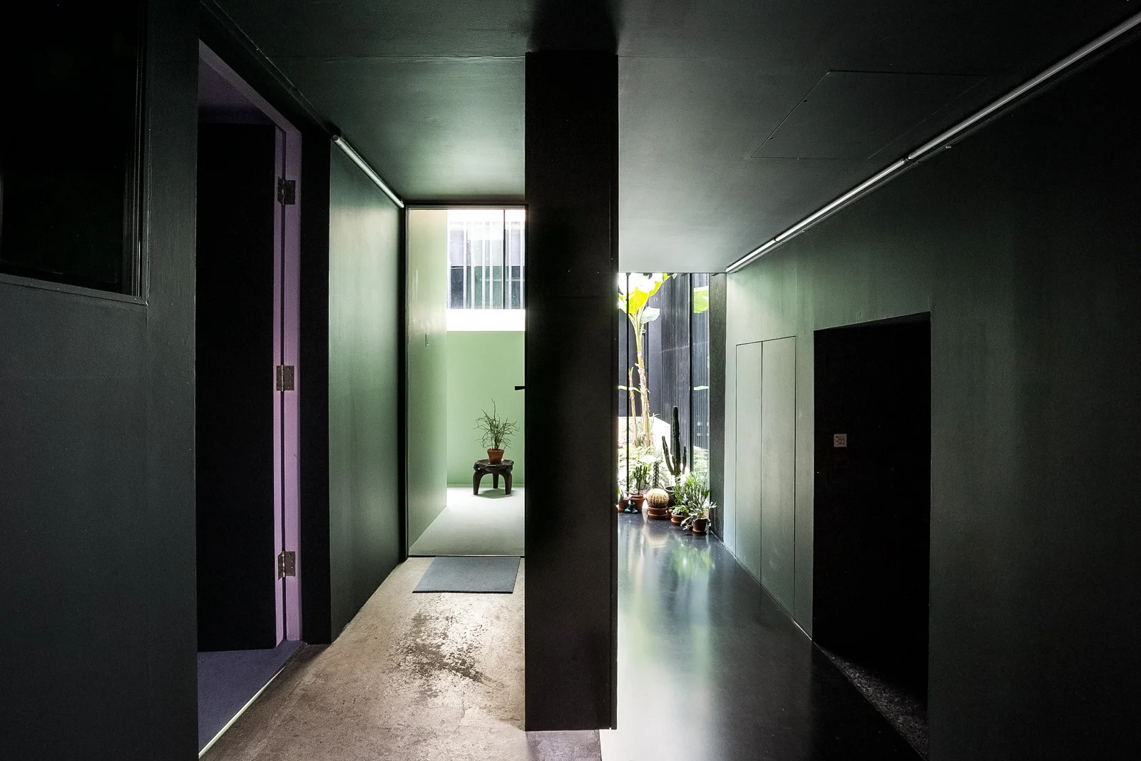 TMH_LostHouse-4.jpg