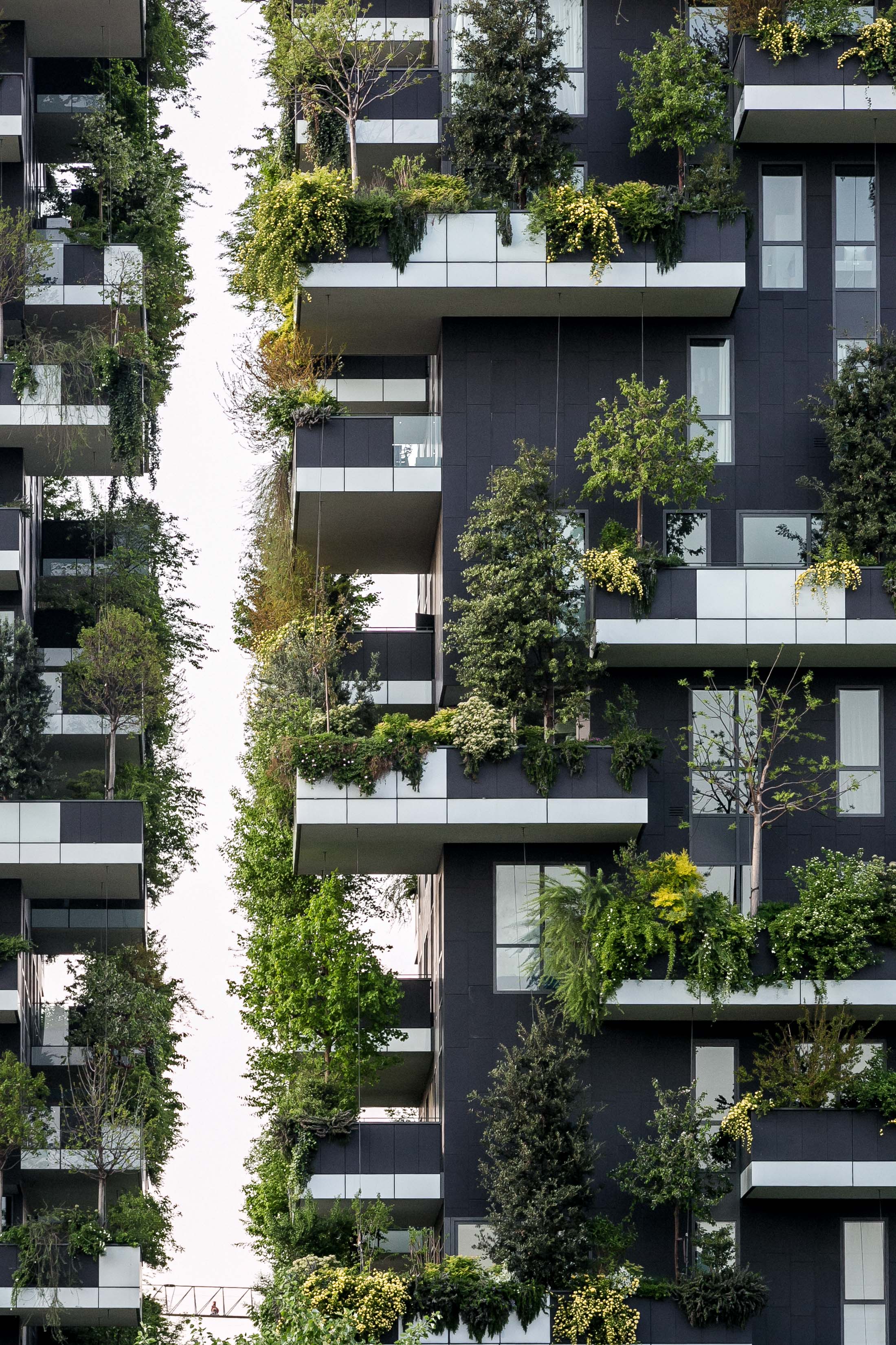 Milan_Bosco Verticale-21.jpg