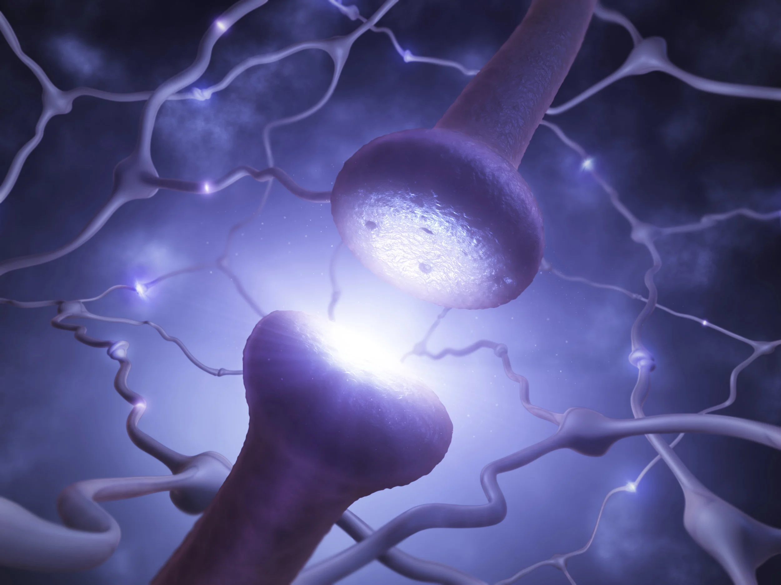 iStock_000017762794_XXXLarge.jpg