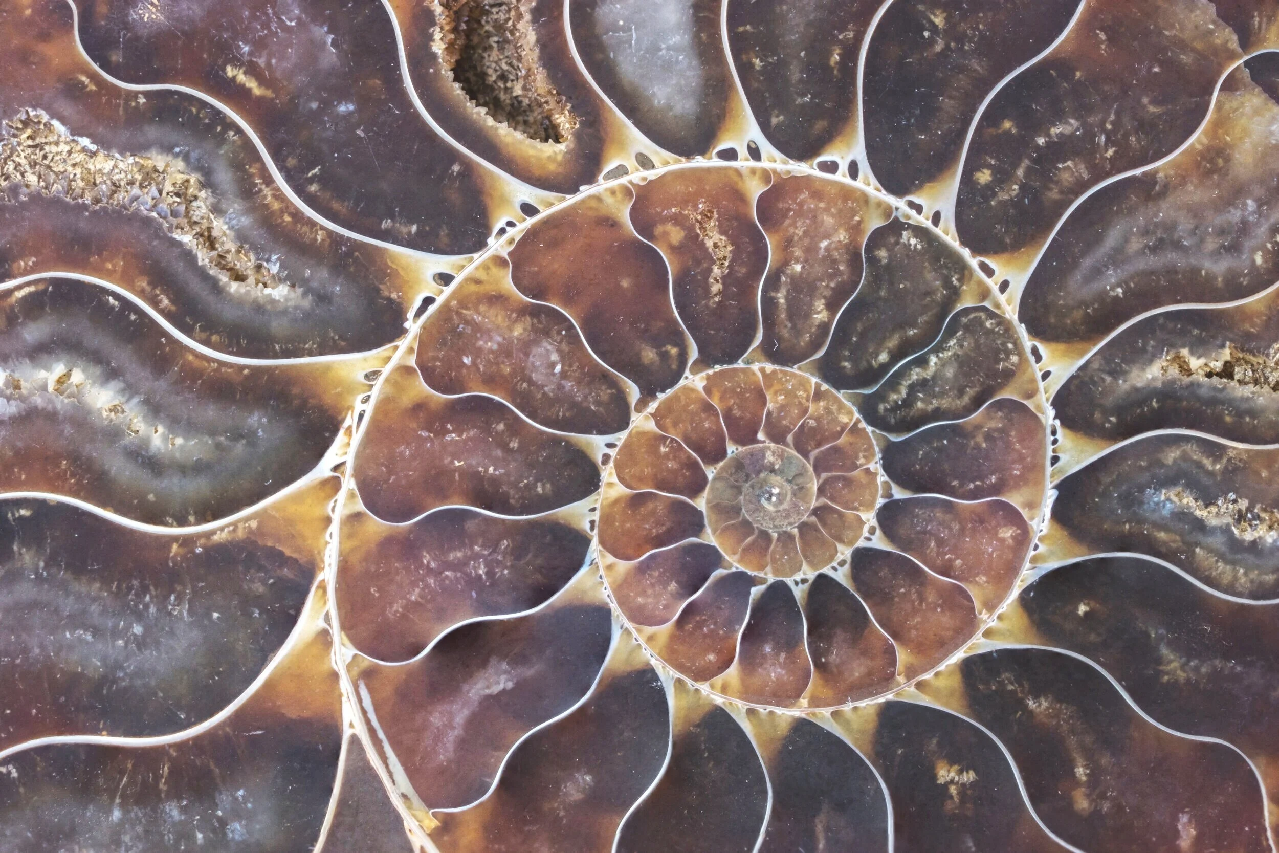 AdobeStock_110855810.jpg