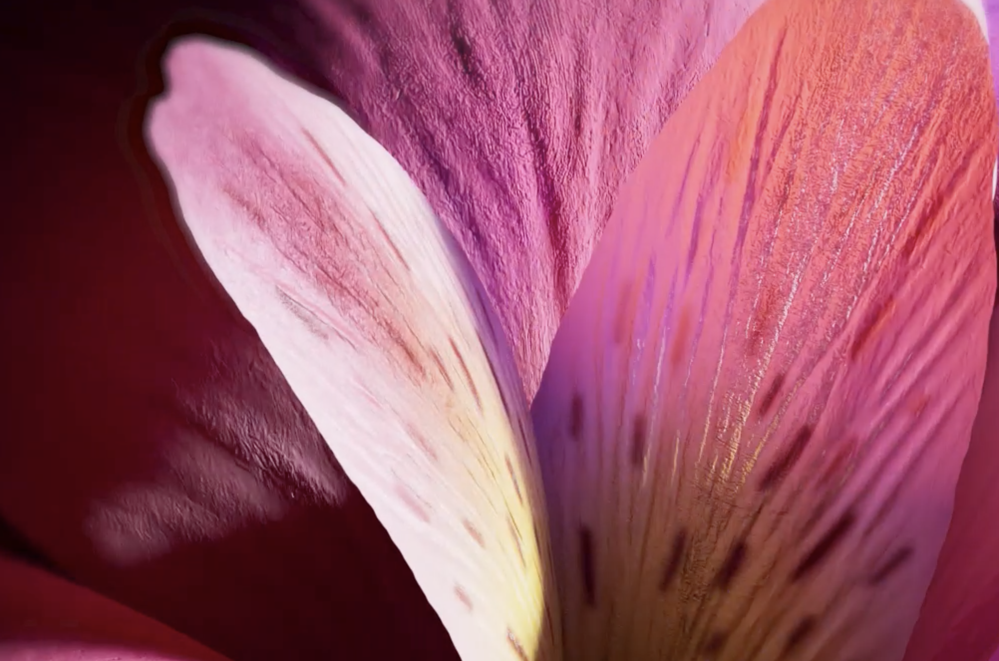 Screen Shot 1444-01-20 at 11.13.18 AM.png