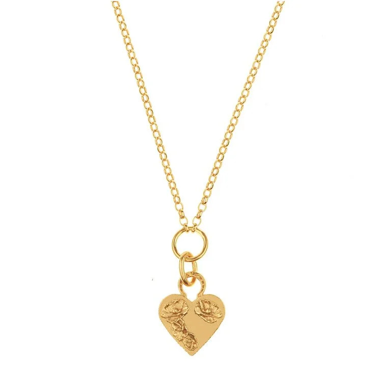 AfterlightImage 4 copy 2.JPG