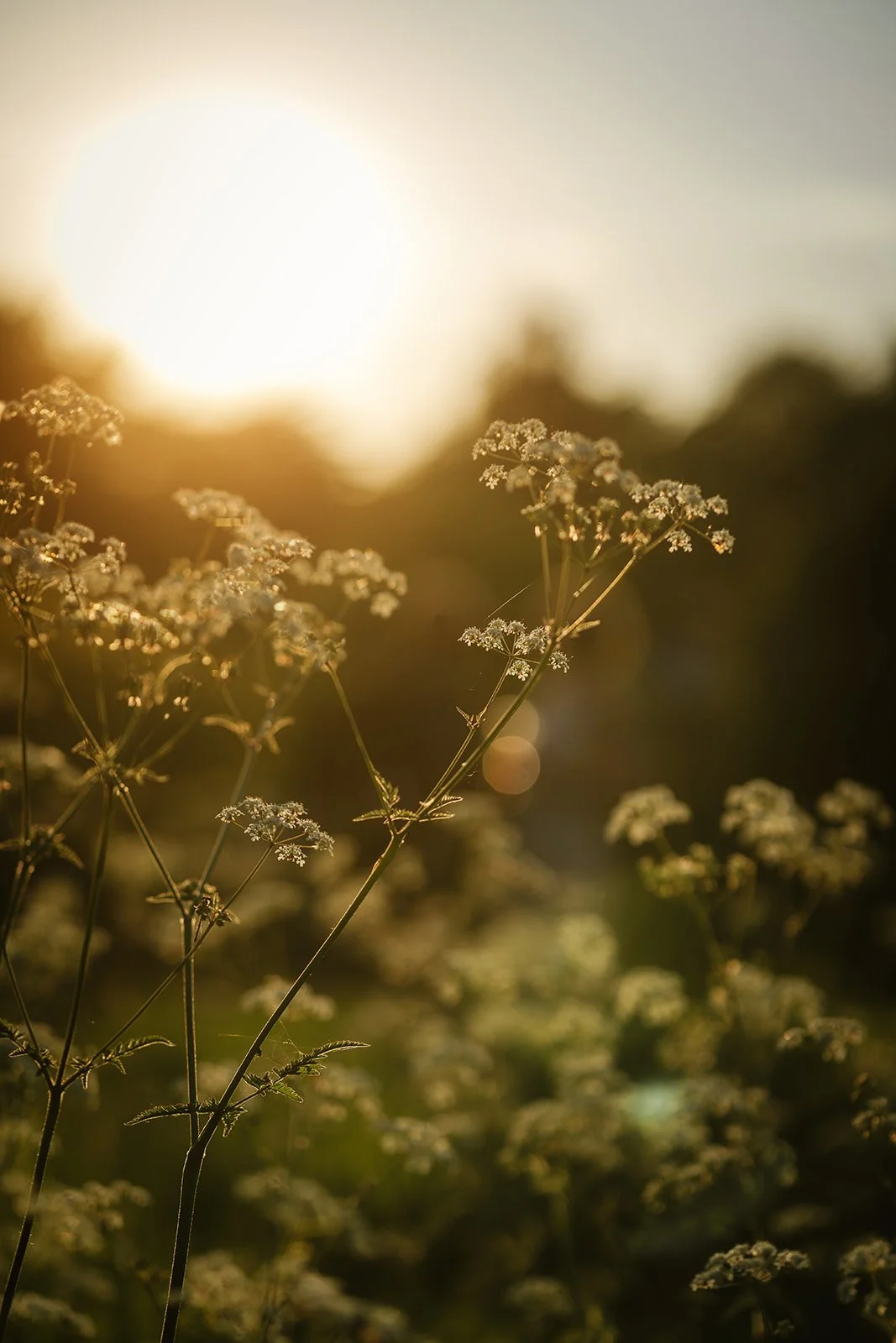 Helen in silk bridal separates by Kate Beaumont Hodsock Priory by Andrew Heeley Photography-42.jpg