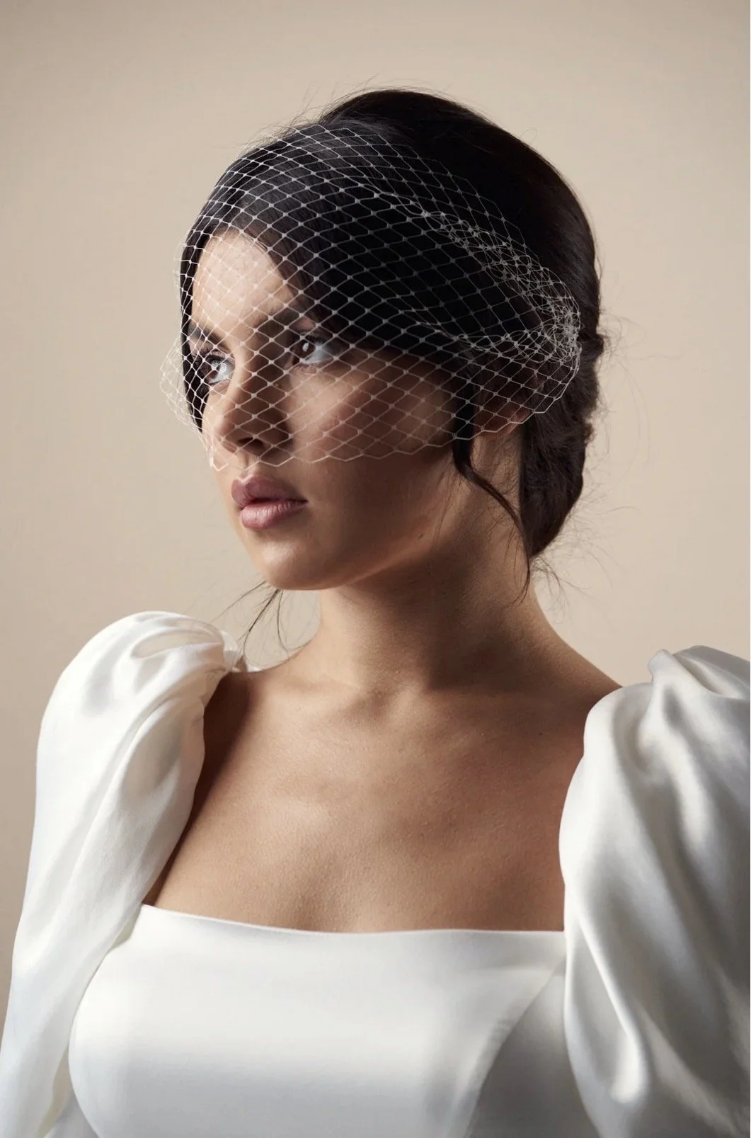 Birdcage mask veil.jpg