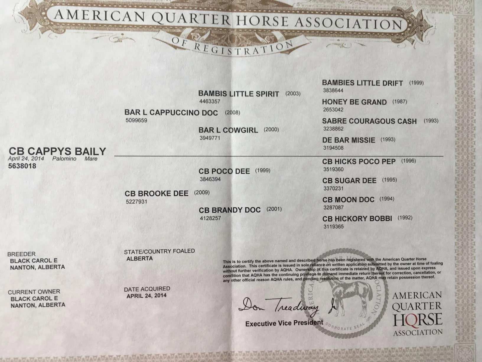 CB Cappys Baily cert.jpg