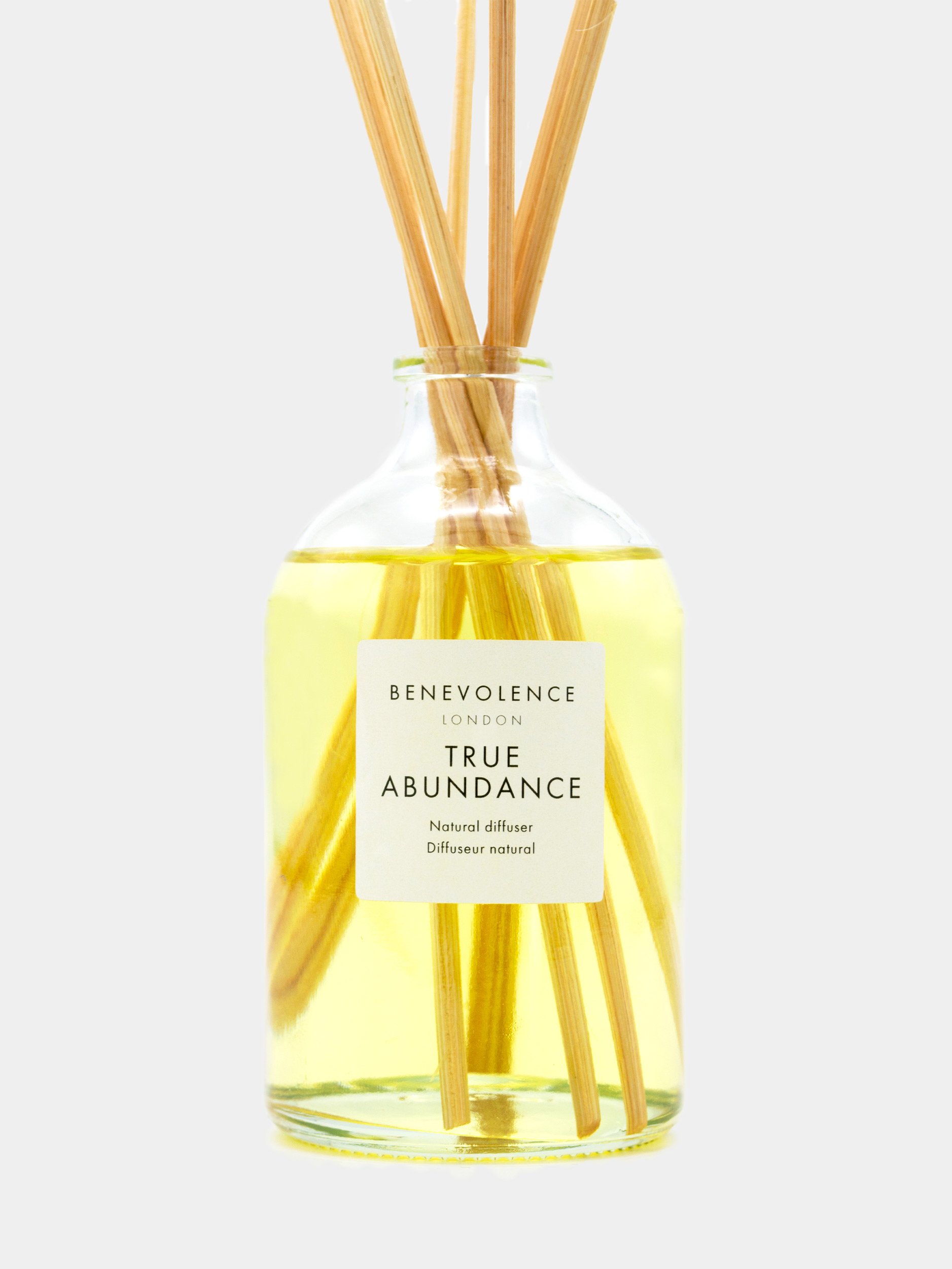 TA Diffuser 1.jpg