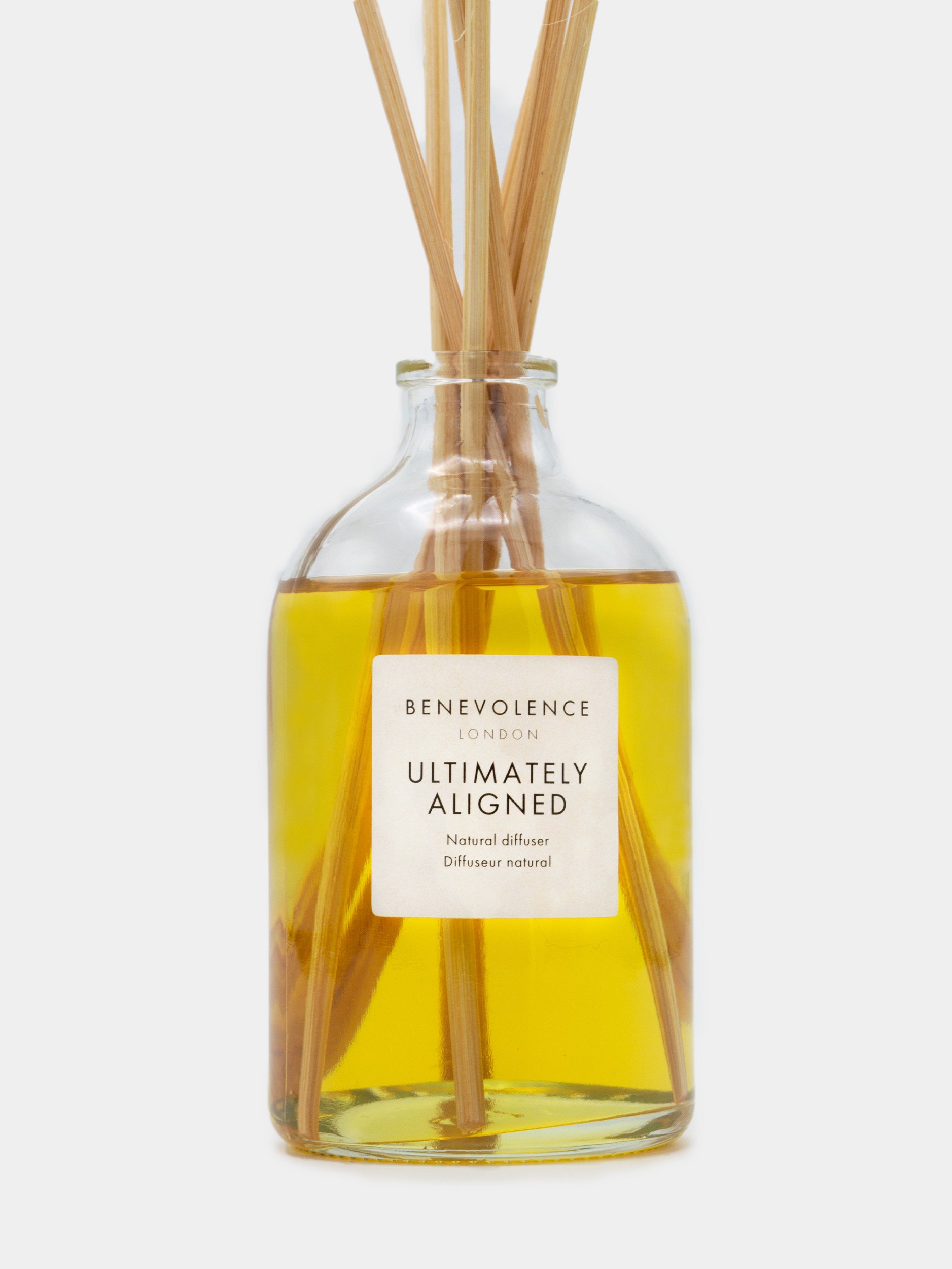 Utimately Aligned Diffuser 1.jpg