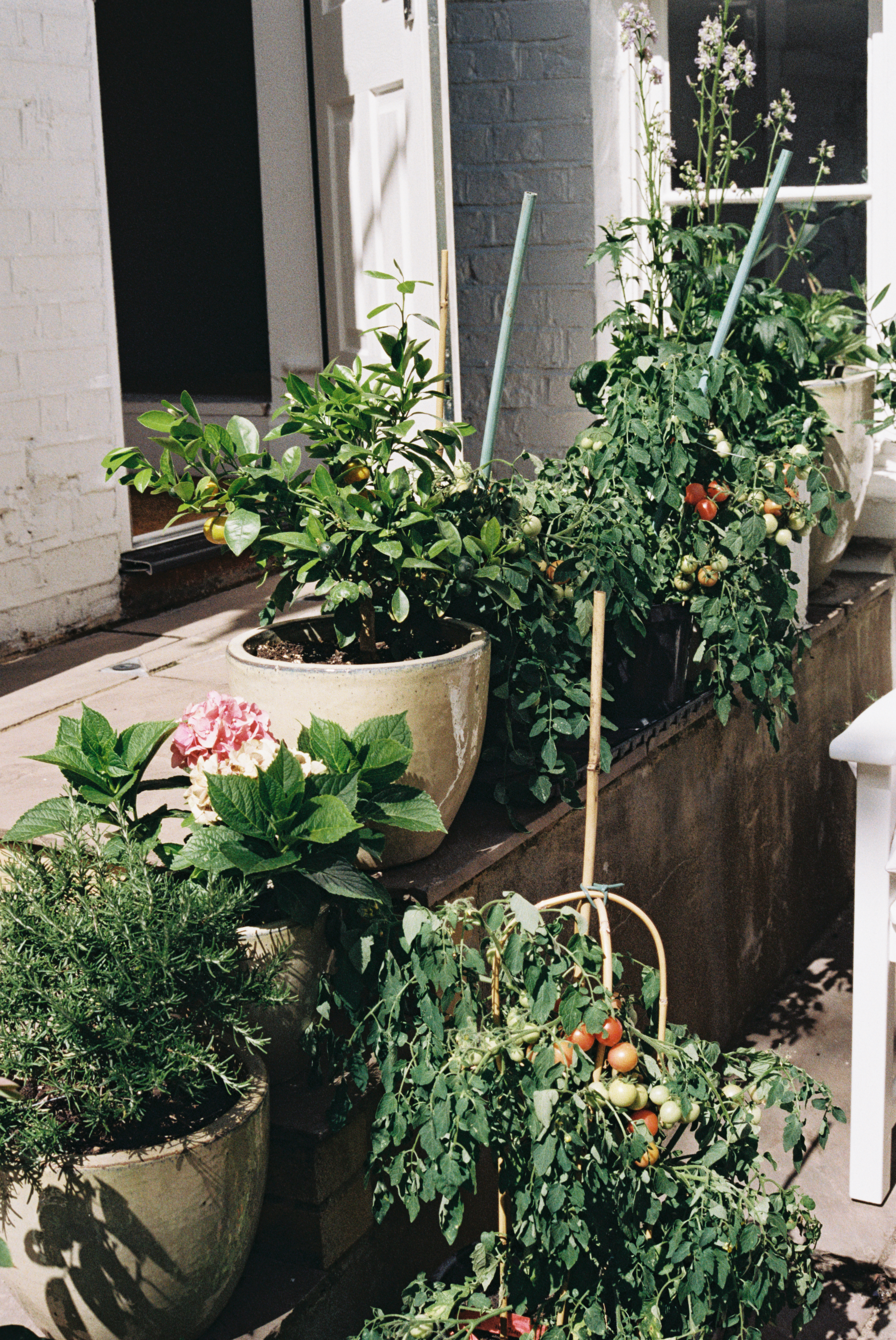 Completedworks-Stockists-2.jpg