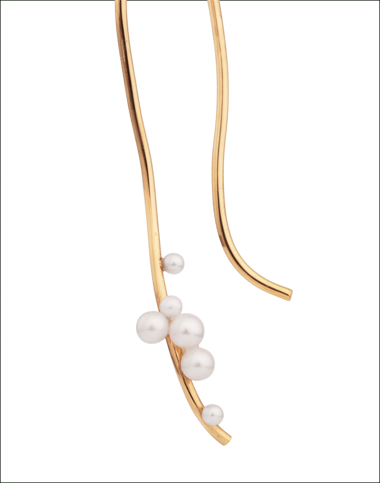 Completedworks-Earring-Gold-Vermeil-Wild-Relatives-3-1.png