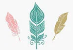 3-Feathers-klein.jpg