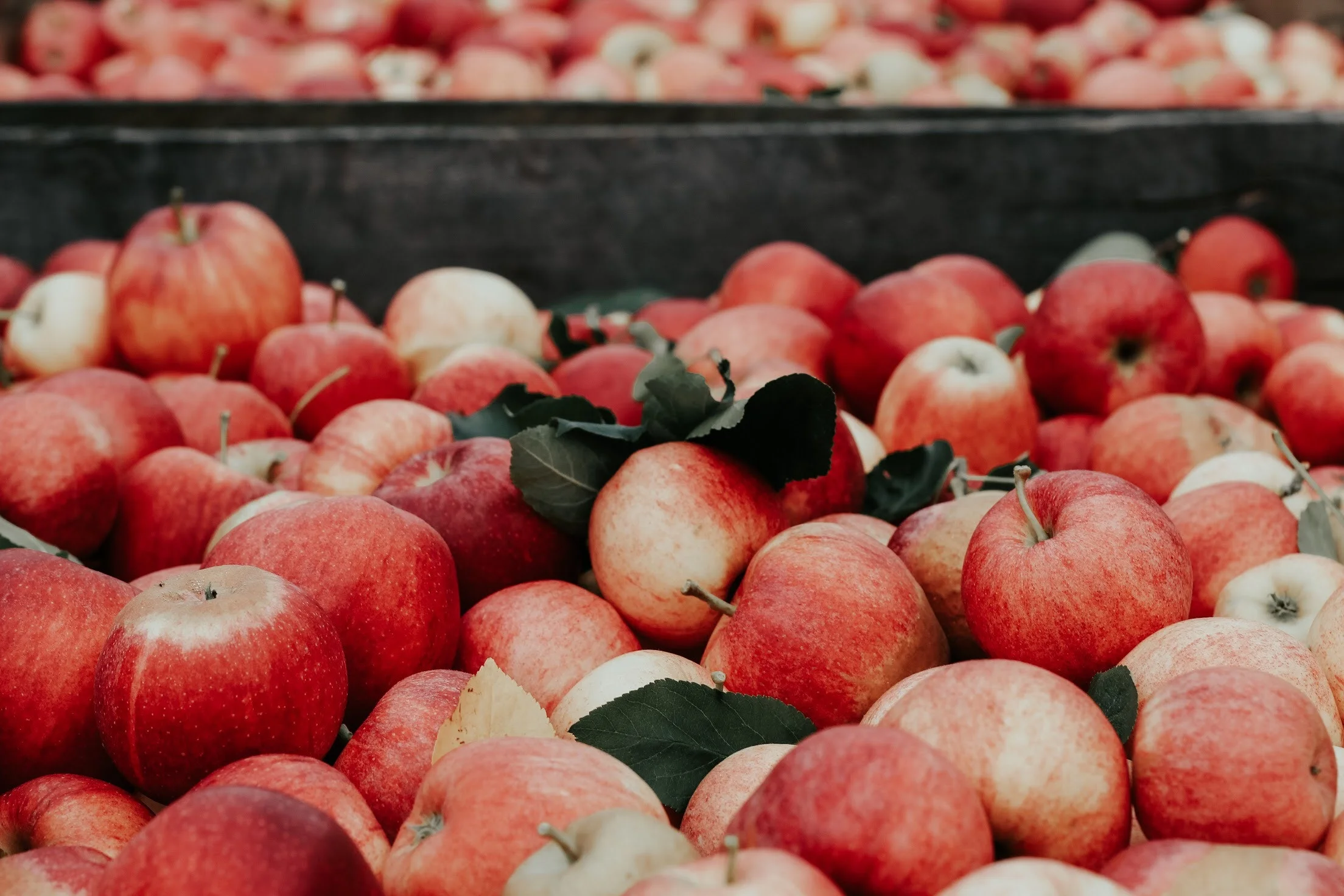 apple butter. Apples. Fall. Apple Butter Recipe.