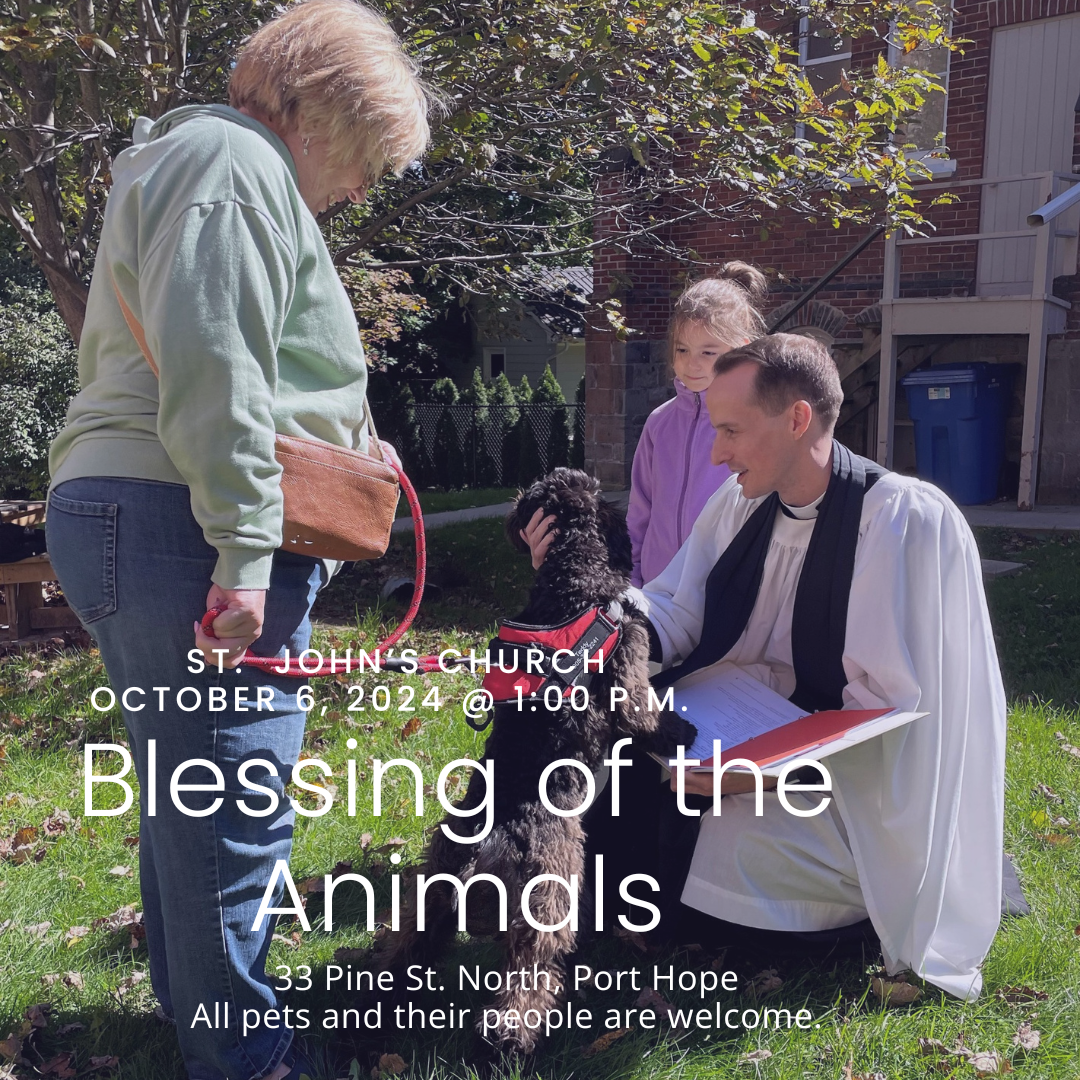 BLESSING OF THE ANIMALS