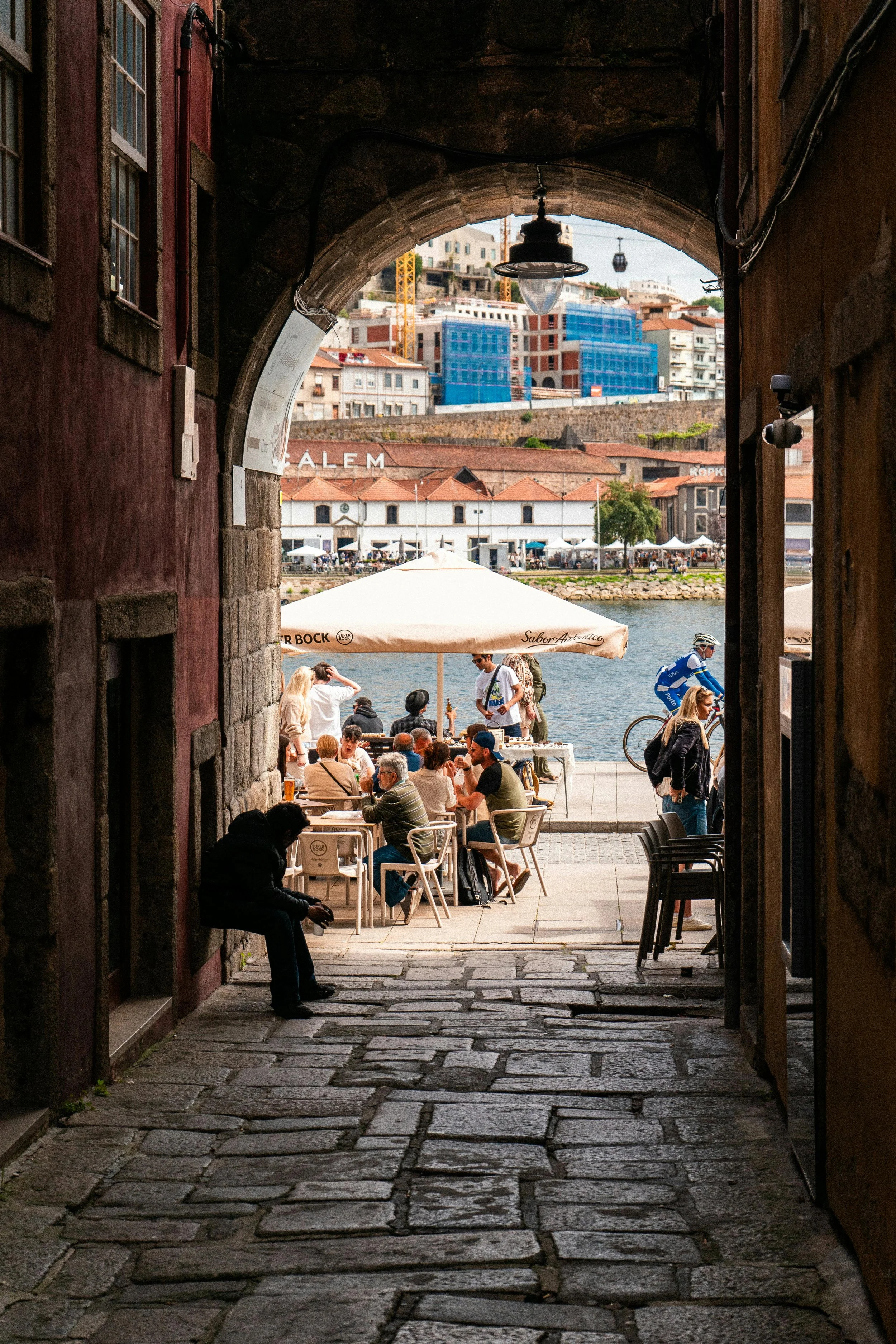 pexels-uiliamnornberg-24960486.jpg
