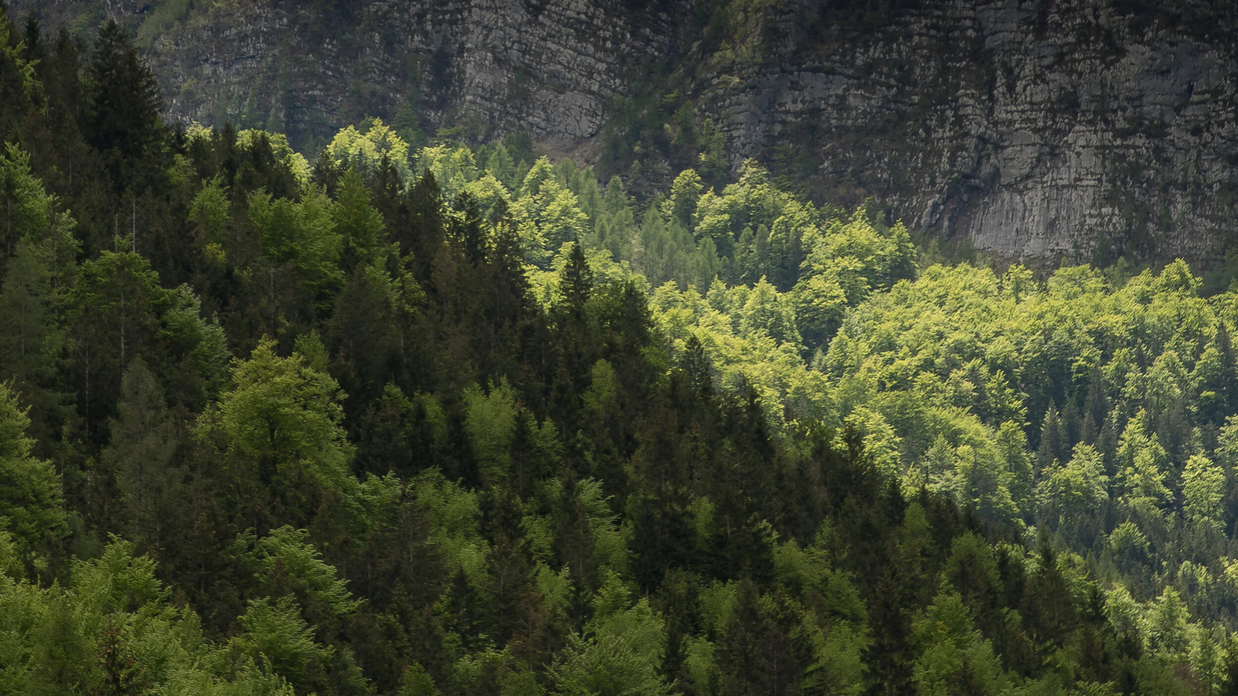 copyright_vhephotography_slovenian_journey__W0A9945.JPG