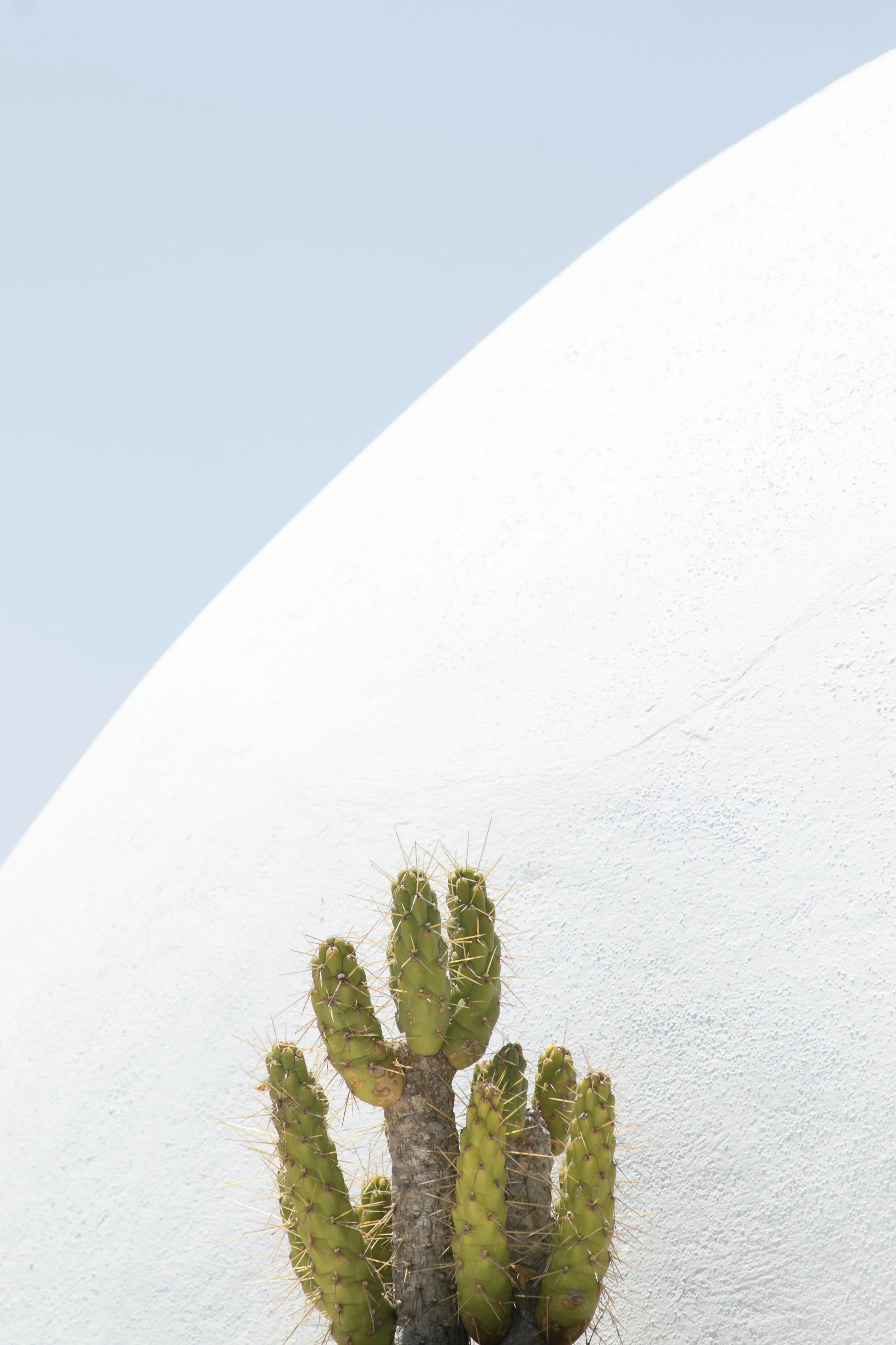 copyright_vhephotography_andalucia_W0A8913.JPG