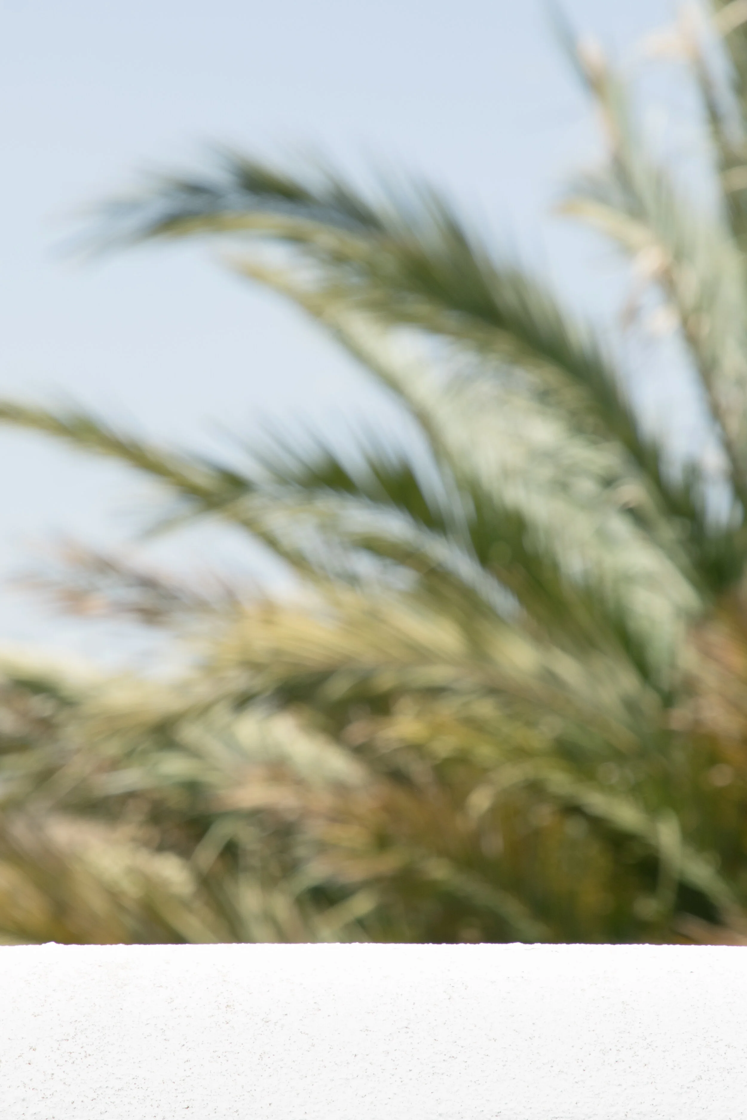 copyright_vhephotography_andalucia_W0A8915.JPG