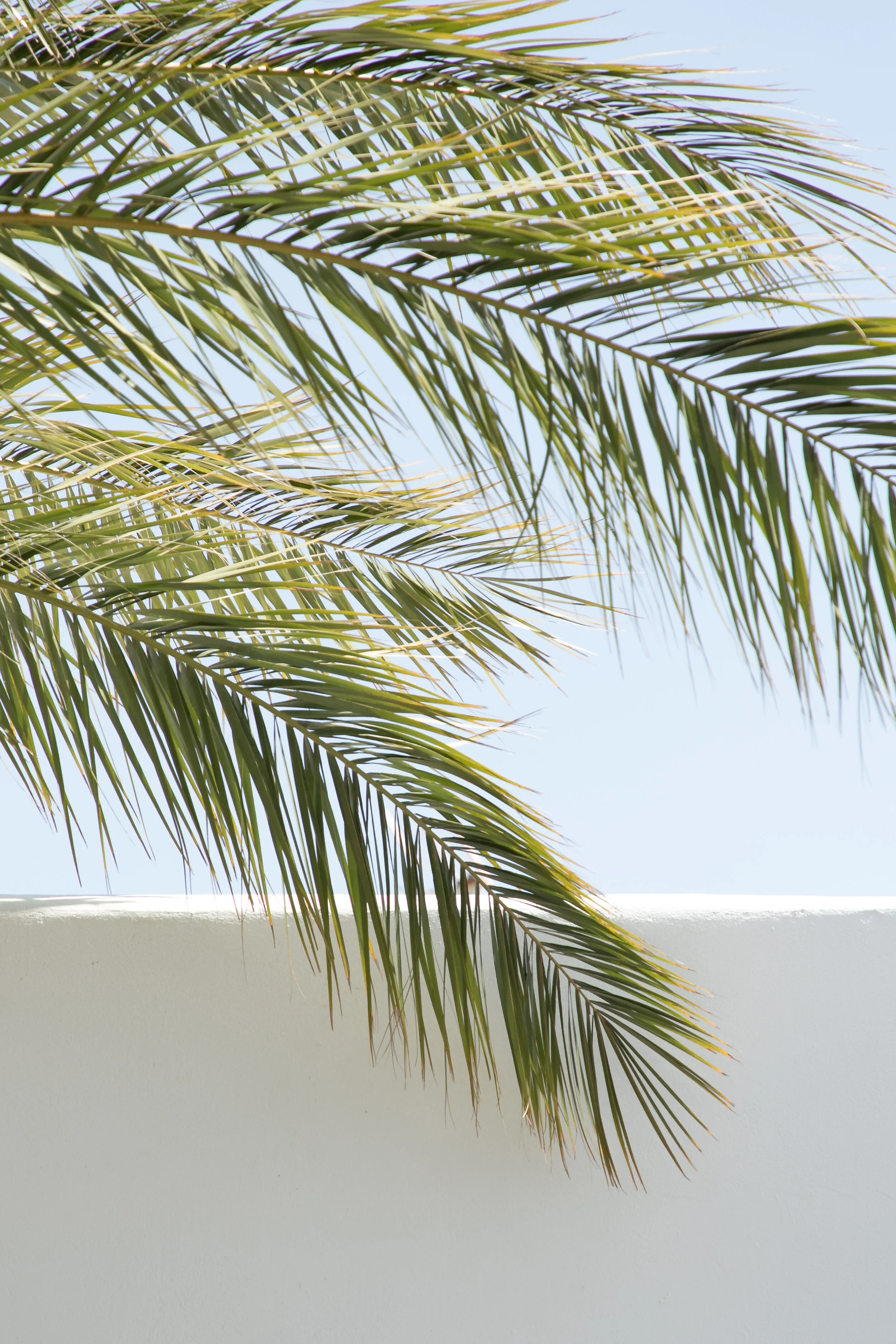 copyright_vhephotography_andalucia_W0A8935.JPG