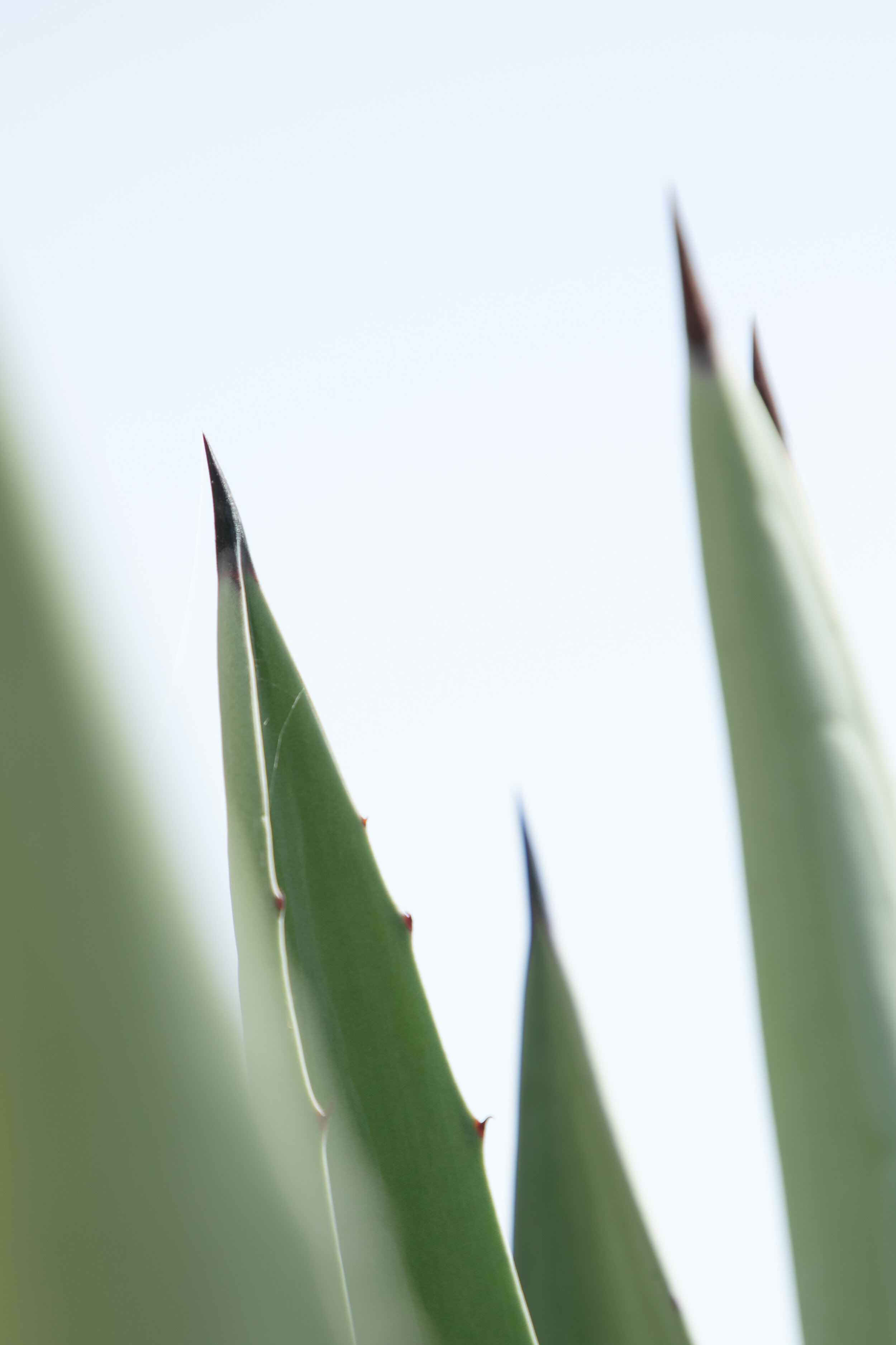 copyright_vhephotography_andalucia_W0A8949.JPG