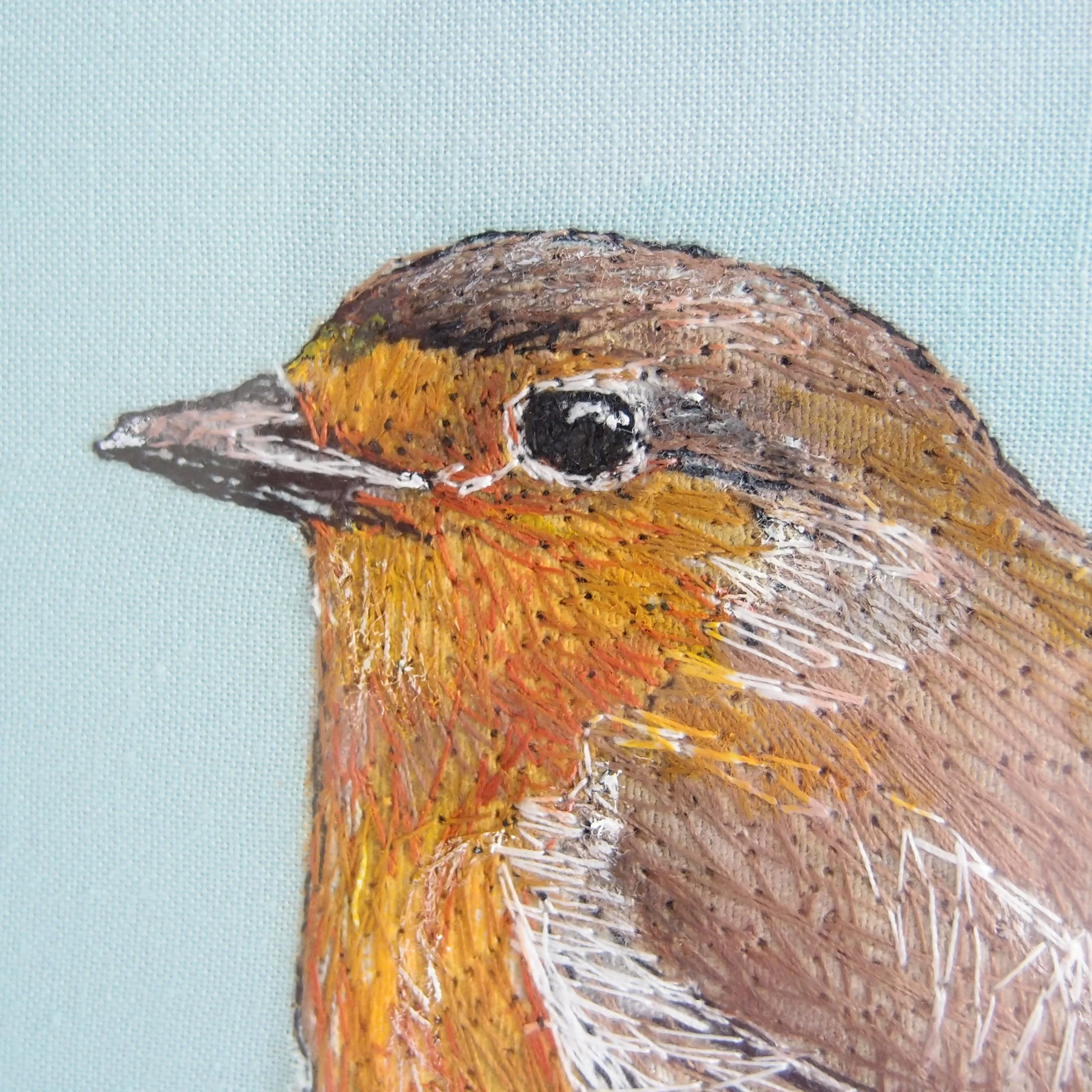 Robin - Detail.jpg
