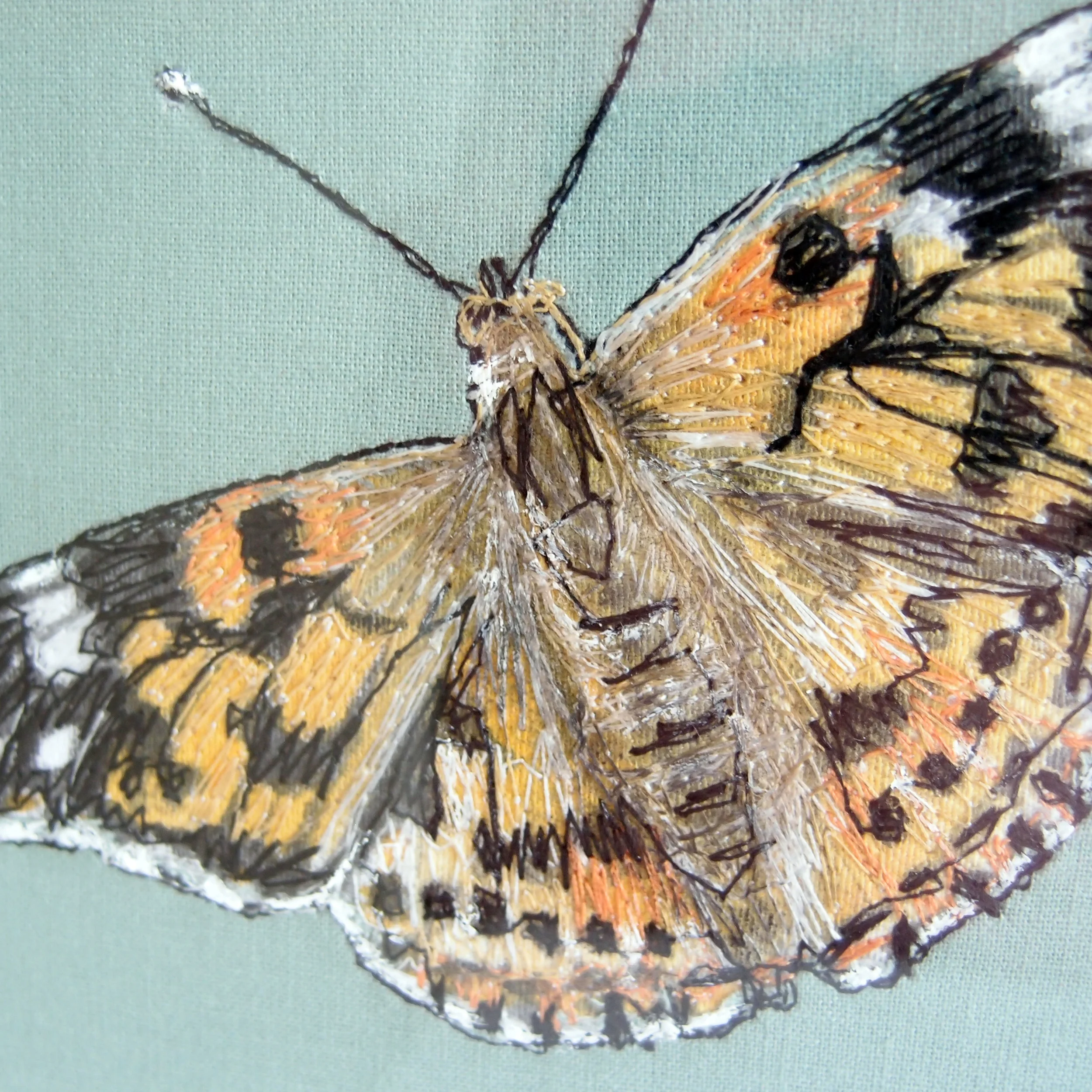 Painted Lady - Detail.jpg