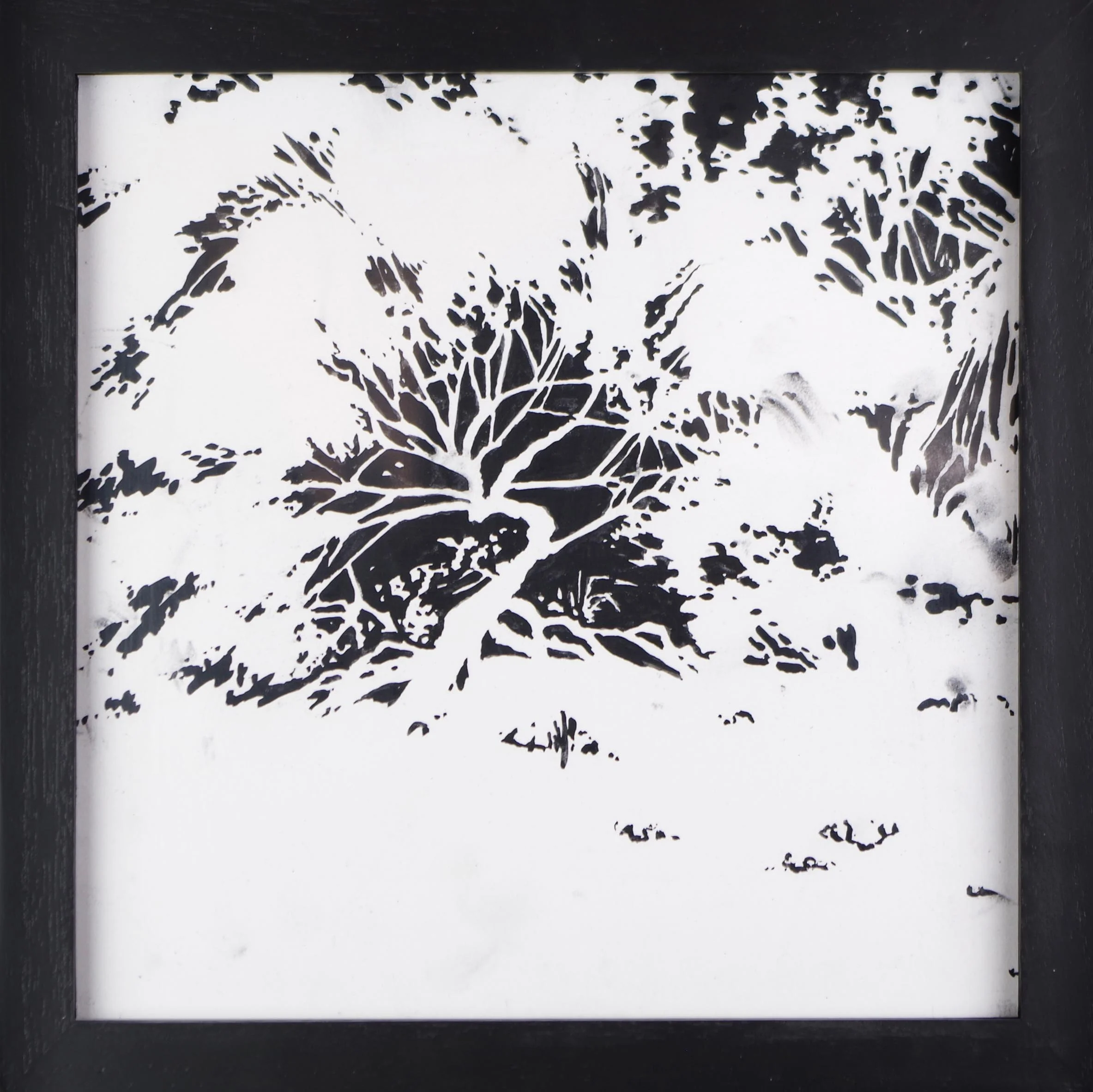 Negative Space Hedge