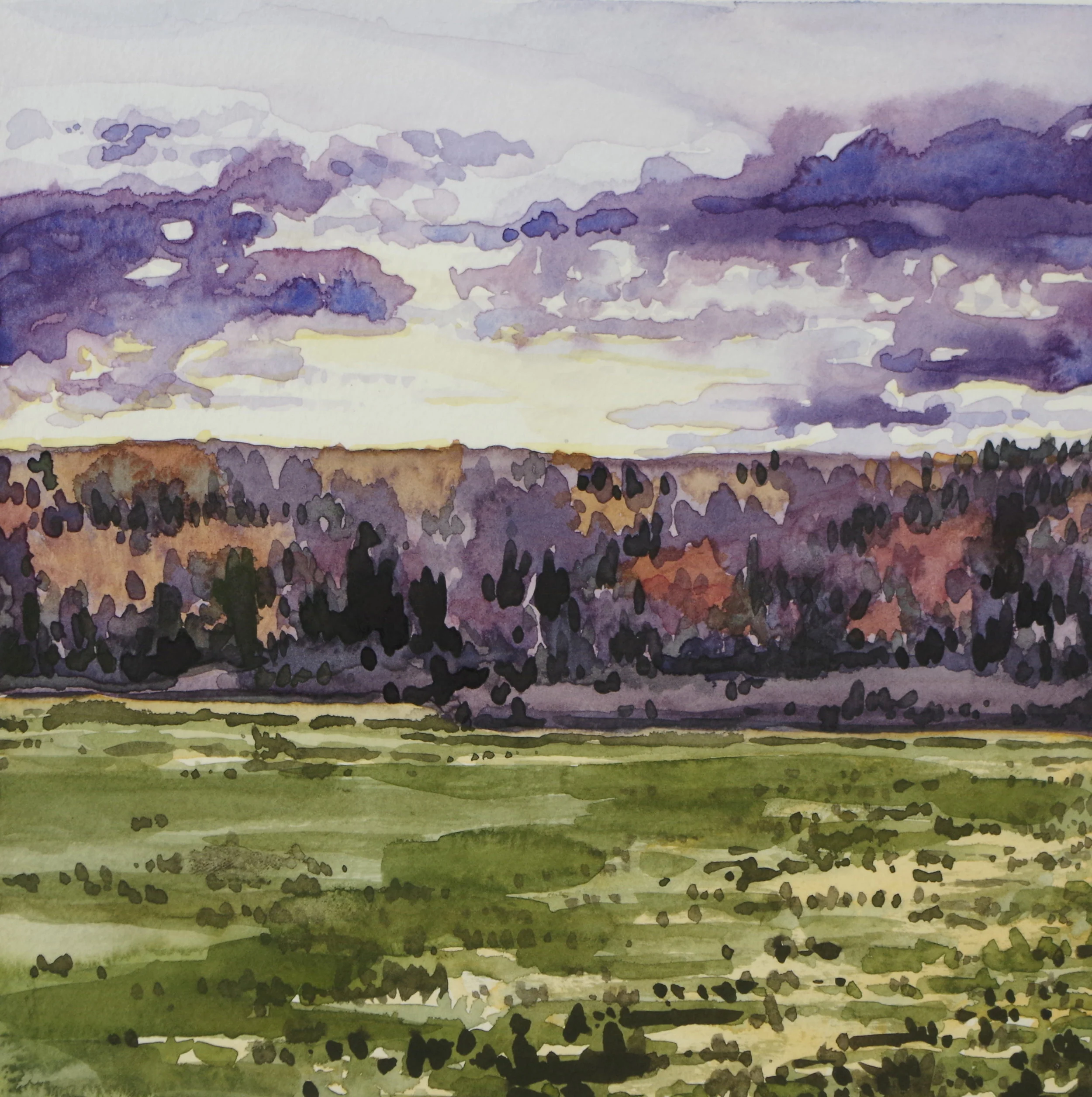 Tiramasu Purple and Green