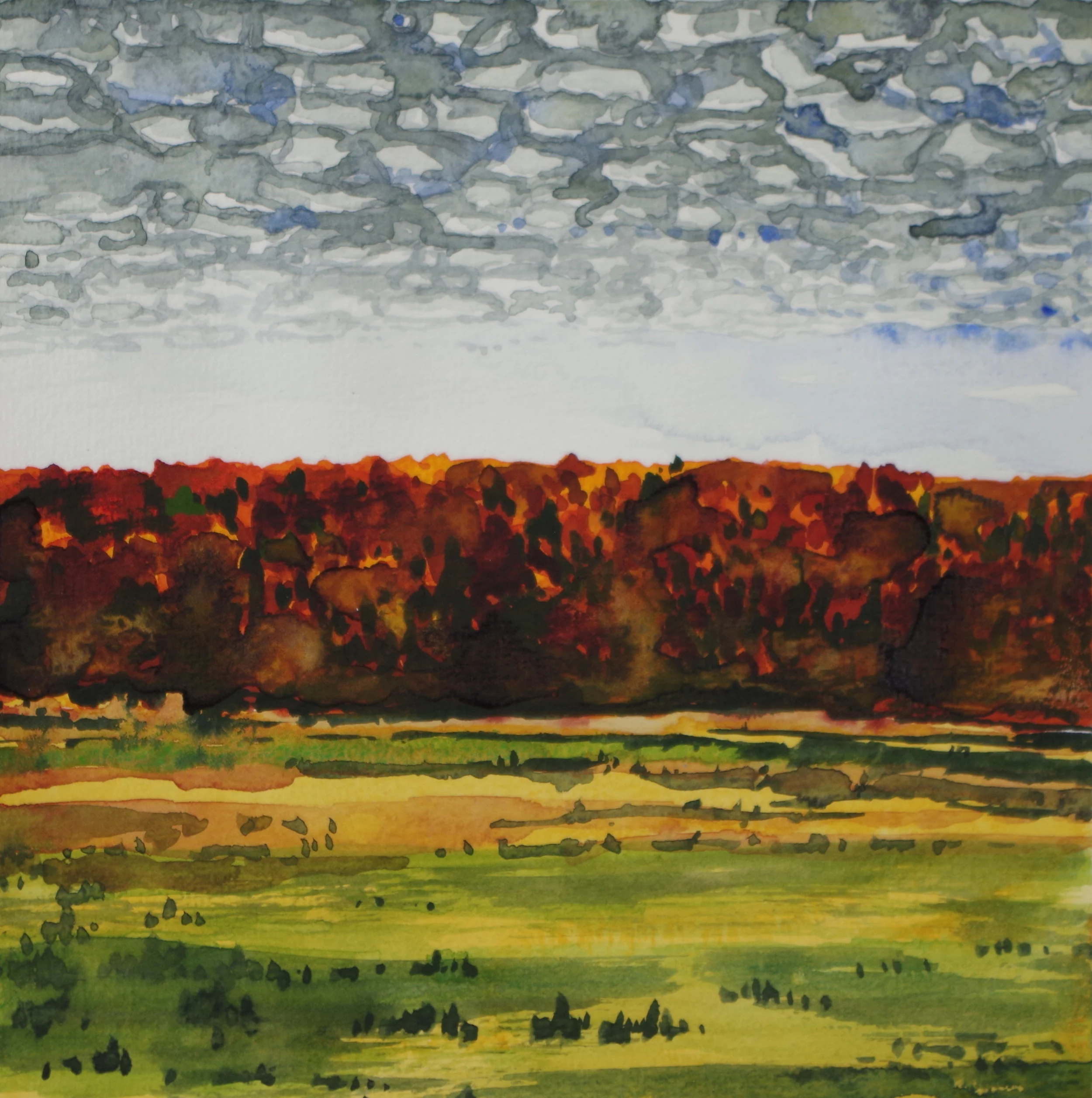 Tiramisu (Red, Green, Blue)