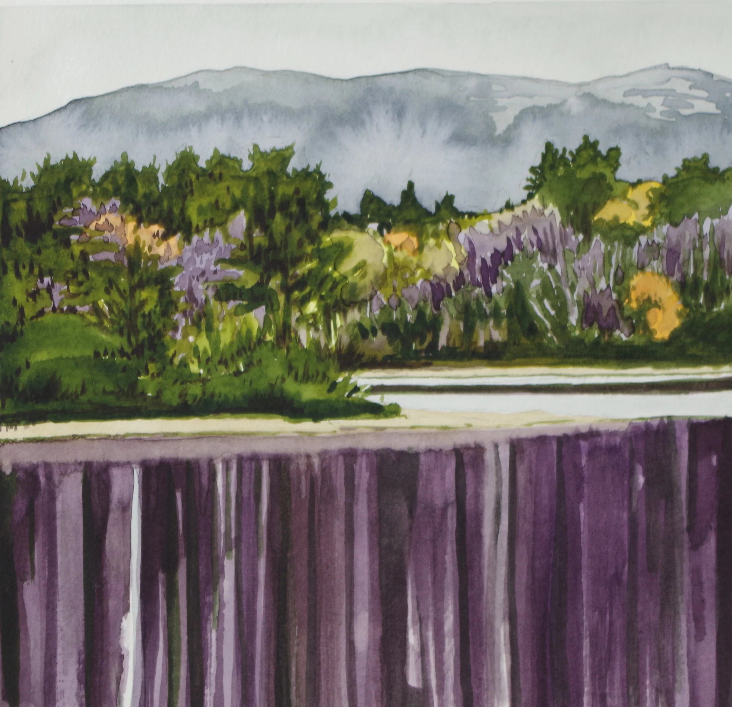 Howe Reservoir Purple and Green