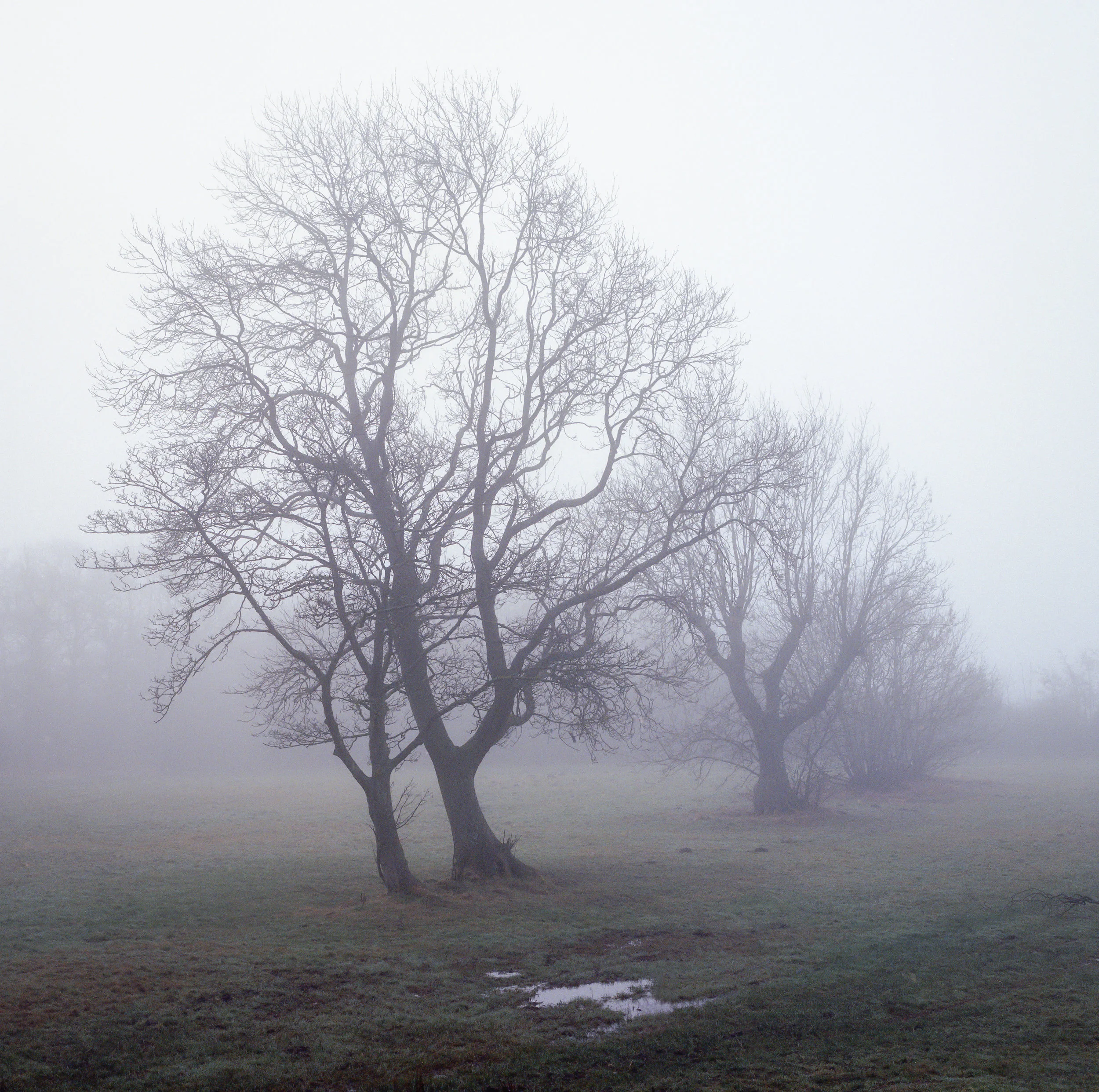 img352-Edit.jpg