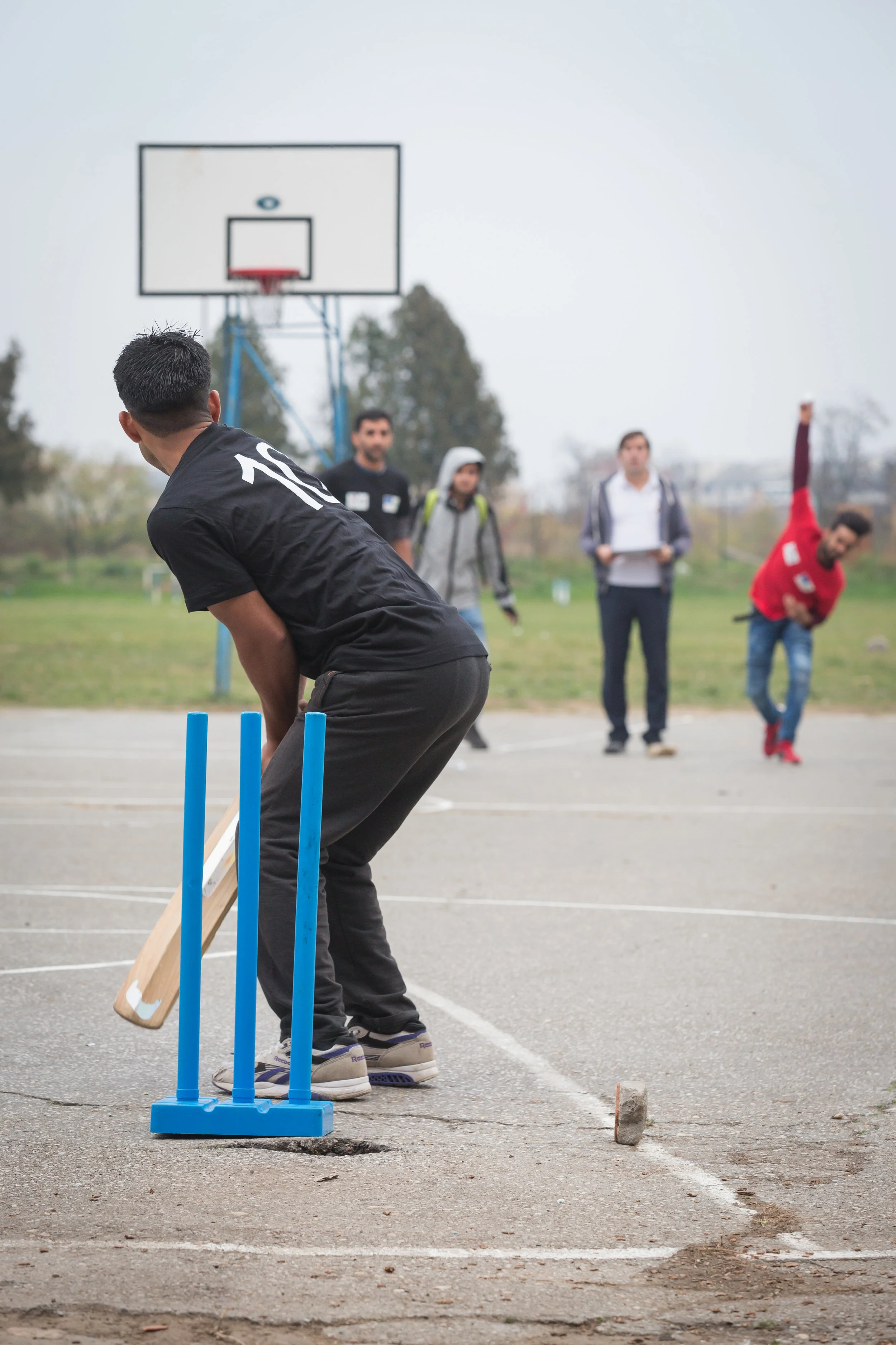 Cricket.jpg